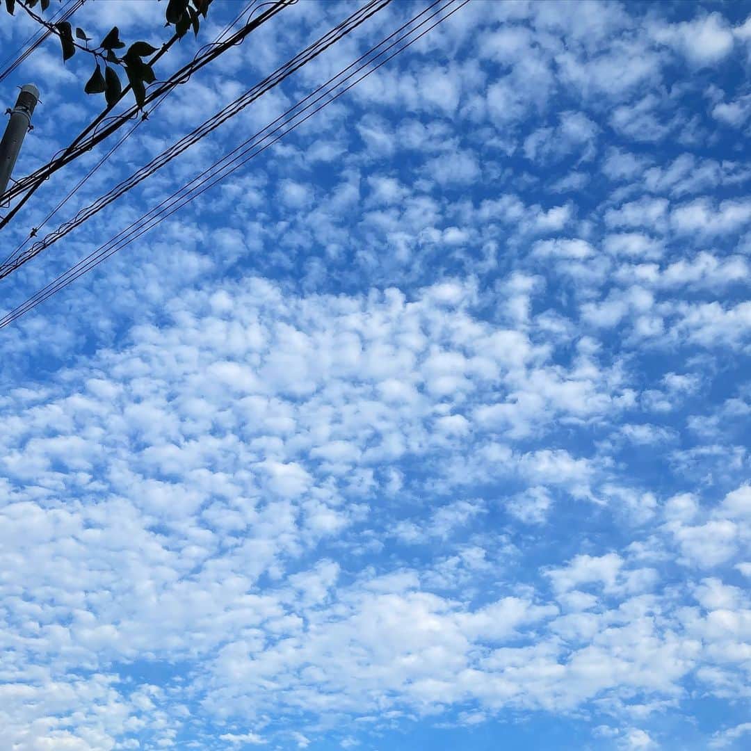 兒玉遥さんのインスタグラム写真 - (兒玉遥Instagram)「💙🔷🦋🪼」11月7日 15時24分 - haruka_kodama919