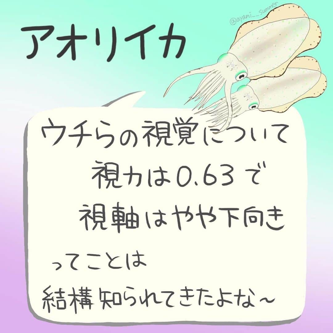 高本采実さんのインスタグラム写真 - (高本采実Instagram)「🐟 ／ 第3回 『みんなで作ろう 4コマ水産学』！ ＼  無料魚釣りアプリ「アングラーズ」 @anglers_jp の連載企画✨ 魚図鑑にも載っていない、釣り人だけが知っている魚の生態をみなさんと一緒に解明していきます。  作品の「オチ」は釣り人のみなさんのコメントによって決定😎🔥  投稿してくださった方の中から抽選で「サイン入りアングラーズステッカー」をプレゼントします！  第3回目は「アオリイカ」 気になるアオリイカの視覚について🦑 生態と釣り人の経験ではどのような関連性があるのでしょうか🤓💭  みなさんのご参加お待ちしております🐟！  ■参加方法 ①無料アプリ「アングラーズ」をインストール ②アングラーズアプリ内のAyami【高本采実】の釣りトークにコメントして参加完了！ （対象の釣りトークのリンクはハイライト「みんなで作ろう4コマ水産学」から飛べます）  ■期間 〜11/13まで  ■ご注意 ※当選者の方にはアプリ通知で連絡致します。7日間ご連絡がない場合には取り消しとなり、再抽選となります。  ■参考文献 イカの視覚に関する基礎的研究　 ～沿岸性種および沖合性種の網膜構造、視精度、視物質に関する研究～  . . .  #アングラーズ #4コマ水産学 #みんなで作ろう4コマ水産学 #アオリイカ #泥障烏賊 #イカ #ティップラン #エギング #ヤエン #魚イラスト #海釣り #魚好き  #釣果 #釣り好き #大物ハンター #アングラー #fishinggirl #钓鱼 #高本采実 #あやみん #ayamistagram」11月7日 18時20分 - ayami__summer