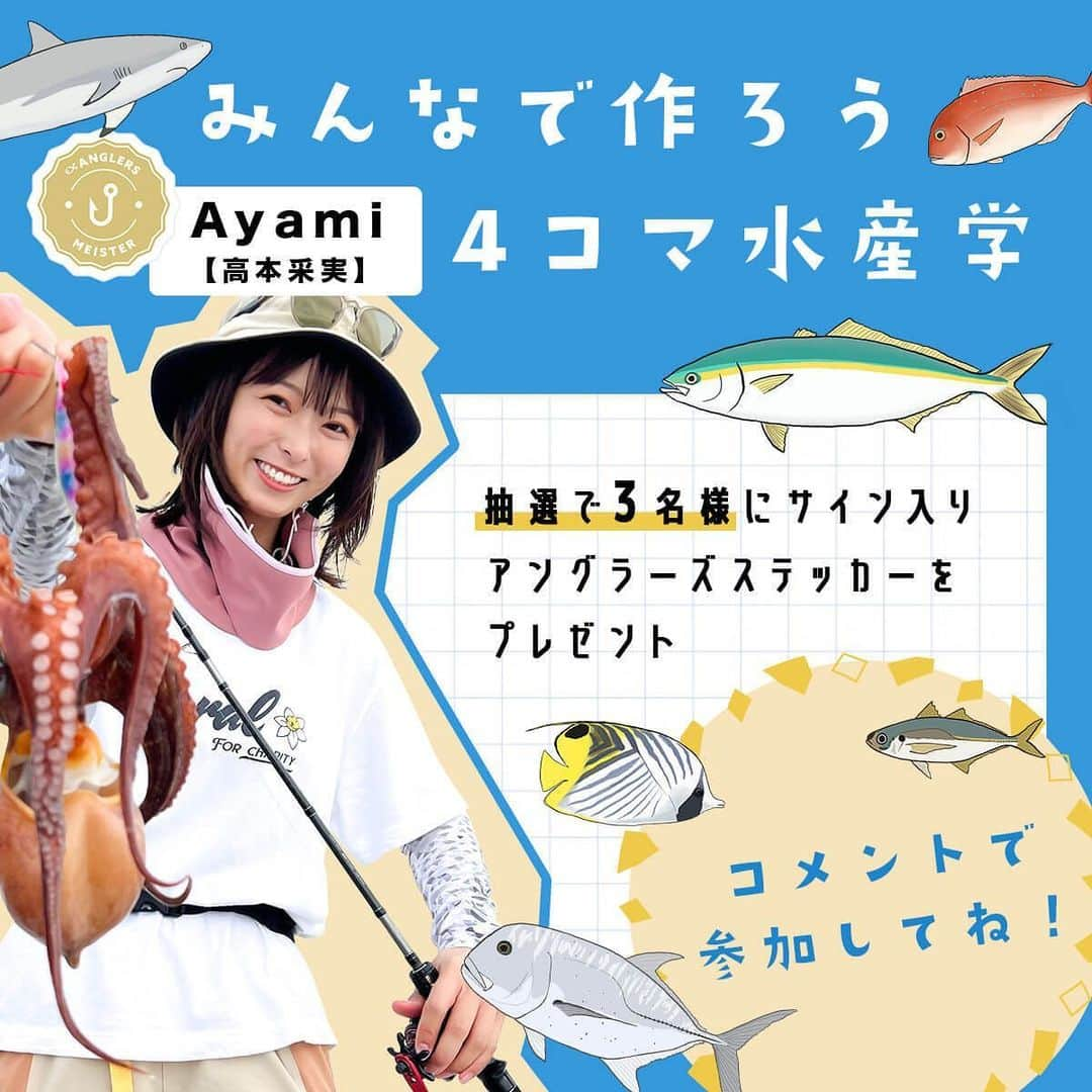 高本采実さんのインスタグラム写真 - (高本采実Instagram)「🐟 ／ 第3回 『みんなで作ろう 4コマ水産学』！ ＼  無料魚釣りアプリ「アングラーズ」 @anglers_jp の連載企画✨ 魚図鑑にも載っていない、釣り人だけが知っている魚の生態をみなさんと一緒に解明していきます。  作品の「オチ」は釣り人のみなさんのコメントによって決定😎🔥  投稿してくださった方の中から抽選で「サイン入りアングラーズステッカー」をプレゼントします！  第3回目は「アオリイカ」 気になるアオリイカの視覚について🦑 生態と釣り人の経験ではどのような関連性があるのでしょうか🤓💭  みなさんのご参加お待ちしております🐟！  ■参加方法 ①無料アプリ「アングラーズ」をインストール ②アングラーズアプリ内のAyami【高本采実】の釣りトークにコメントして参加完了！ （対象の釣りトークのリンクはハイライト「みんなで作ろう4コマ水産学」から飛べます）  ■期間 〜11/13まで  ■ご注意 ※当選者の方にはアプリ通知で連絡致します。7日間ご連絡がない場合には取り消しとなり、再抽選となります。  ■参考文献 イカの視覚に関する基礎的研究　 ～沿岸性種および沖合性種の網膜構造、視精度、視物質に関する研究～  . . .  #アングラーズ #4コマ水産学 #みんなで作ろう4コマ水産学 #アオリイカ #泥障烏賊 #イカ #ティップラン #エギング #ヤエン #魚イラスト #海釣り #魚好き  #釣果 #釣り好き #大物ハンター #アングラー #fishinggirl #钓鱼 #高本采実 #あやみん #ayamistagram」11月7日 18時20分 - ayami__summer