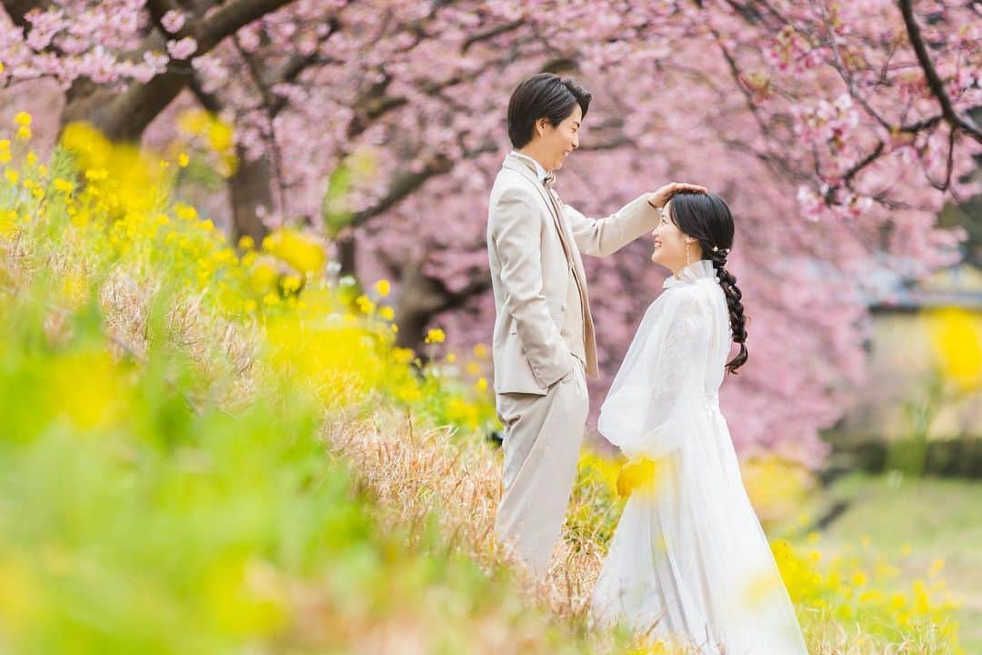 スタジオアクア新宿店さんのインスタグラム写真 - (スタジオアクア新宿店Instagram)「【🌸河津桜撮影ご予約開始🌸】  都内の桜に比べて開花が早く、色がとても鮮やかです🤍  旅行のついでに、撮影しませんか⁇  気になる方は是非お問い合わせください！  #プレ花嫁 #ウェディングフォト #フォトウェディング #ブライダルフォト #ブライダルヘア #花嫁ヘア #japantrip #weddingday  #weddingdress #オシャレなスタジオ #プレ花嫁東京 #marryxoxo #スタジオアクア #スタジオアクア新宿店 #河津桜 #桜 #伊豆旅行  #菜の花 #weddingphotograper  #東京ウェディング  #日本中のプレ花嫁さんと繋がりたい #全国のプレ花嫁さんと繋がりたい #オシャレさんと繋がりたい #おしゃれ花嫁 #洋装前撮り　 #ウエディングドレス #タキシード #撮る結婚式 #プレ花嫁さんと繋がりたい #weddingphotographers」11月7日 16時26分 - studioaqua.shinjuku