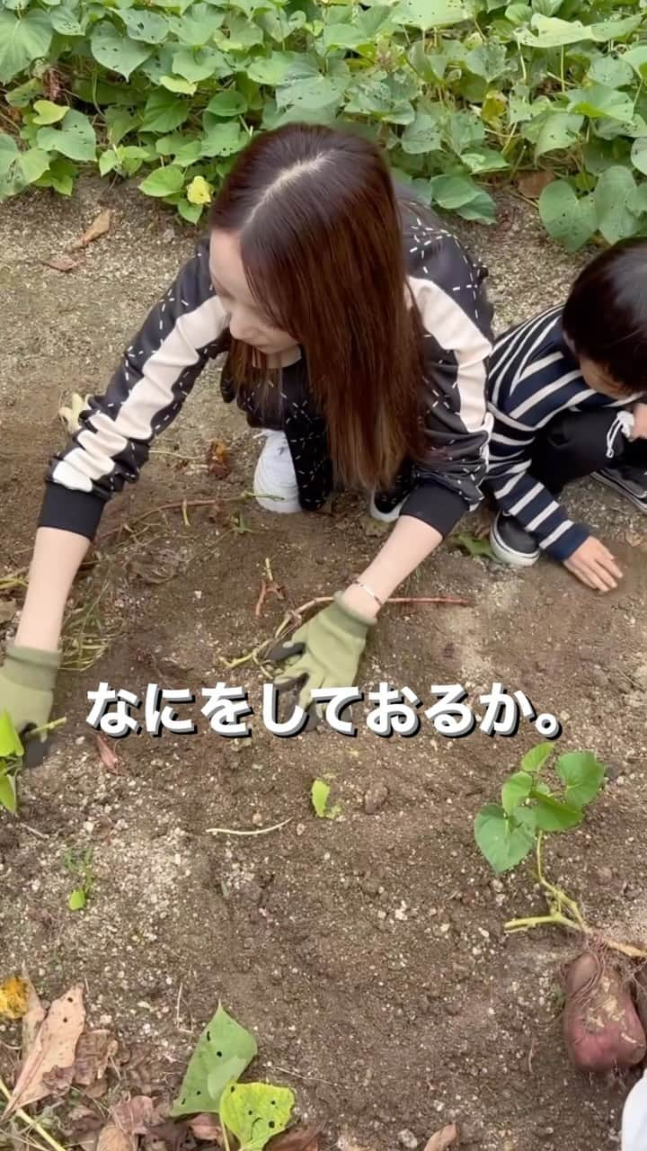 とものインスタグラム：「毎年この季節になったら おじいちゃんが育てたお芋を 子供達と掘らしてもらってるの🍠  おじいちゃんのお芋掘みんな大好き♡ 今年も大量にもらったので  スイートポテト お芋ご飯 お芋の天ぷら  沢山作ろうかな♡  お芋のポタージュスープも 調べたら美味しそうだった🍠  ※この日のセットアップは @radychan_no_insta   だよん♡♡♡ 動きやすくて可愛くて お気に入り♡ sサイズなのに 丈の長さもいい感じ♡ ラインも綺麗だから お洒落にだる着ってところがgood👍  #お芋堀り#芋掘り#自然に触れ合う#自然#子育て#子供に良い環境#3連休の過ごし方#シングルマザーの休日#rady#setup#セットアップ#なにをしているでしょう#畑#おじいちゃんの畑」