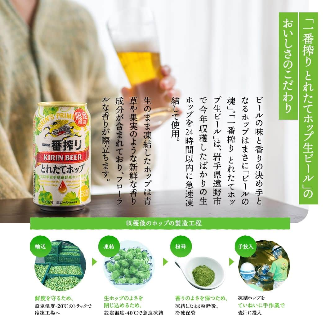 キリンビールさんのインスタグラム写真 - (キリンビールInstagram)「飲んでみたいと思ったら コメント欄に「💚」で教えてくださいね。 また、飲んだ方は感想も教えてください♪  今年もお待たせしました！ 「一番搾り とれたてホップ生ビール 」が 本日11月7日（火）から発売です。  「一番搾り とれたてホップ生ビール 」は 岩手県遠野市で今年収穫したばかりの 生ホップを急速凍結。  旬のホップの爽やかなおいしさを 丁寧に仕込みました。  今だけの特別なおいしさの 「一番搾り とれたてホップ生ビール 」を 今年もお楽しみください。  ＊＊＊  乾杯で暮らしに彩りを🍻 #乾杯のある暮らし で みなさまのとっておきの楽しみ方を ぜひ教えてください✨  #キリンビール #キリン #きょうのキリン  #一番搾りとれたてホップ #一番搾りとれたてホップ生ビール #キリン一番搾り #ビール #家飲み #お酒 #新商品 #期間限定 #一番搾り #ビール好きな人と繋がりたい #ビール大好き #ビール好き #ビール好きと繋がりたい #缶ビール #商品紹介 #秋限定 #とれたてホップ #ビール最高 #ビールスタグラム #今日の一杯 #ビールが好き #ビール最高 #ビール飲みたい #限定ビール #期間限定販売 #期間限定ビール」11月7日 17時00分 - kirin_brewery