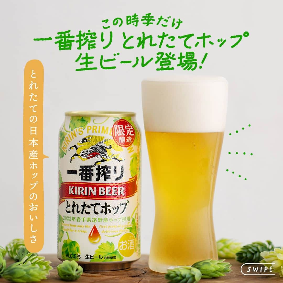 キリンビールさんのインスタグラム写真 - (キリンビールInstagram)「飲んでみたいと思ったら コメント欄に「💚」で教えてくださいね。 また、飲んだ方は感想も教えてください♪  今年もお待たせしました！ 「一番搾り とれたてホップ生ビール 」が 本日11月7日（火）から発売です。  「一番搾り とれたてホップ生ビール 」は 岩手県遠野市で今年収穫したばかりの 生ホップを急速凍結。  旬のホップの爽やかなおいしさを 丁寧に仕込みました。  今だけの特別なおいしさの 「一番搾り とれたてホップ生ビール 」を 今年もお楽しみください。  ＊＊＊  乾杯で暮らしに彩りを🍻 #乾杯のある暮らし で みなさまのとっておきの楽しみ方を ぜひ教えてください✨  #キリンビール #キリン #きょうのキリン  #一番搾りとれたてホップ #一番搾りとれたてホップ生ビール #キリン一番搾り #ビール #家飲み #お酒 #新商品 #期間限定 #一番搾り #ビール好きな人と繋がりたい #ビール大好き #ビール好き #ビール好きと繋がりたい #缶ビール #商品紹介 #秋限定 #とれたてホップ #ビール最高 #ビールスタグラム #今日の一杯 #ビールが好き #ビール最高 #ビール飲みたい #限定ビール #期間限定販売 #期間限定ビール」11月7日 17時00分 - kirin_brewery