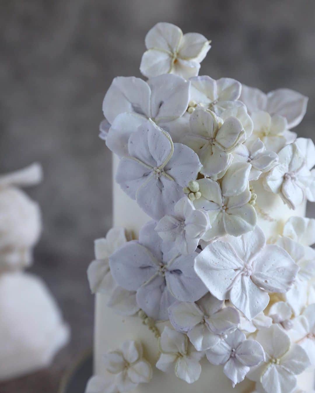 청담 수케이크 (atelier soo)のインスタグラム：「ㅡ hydrangea 🤍 기본무지개종류중,대칭과비대칭  #수국케이크」