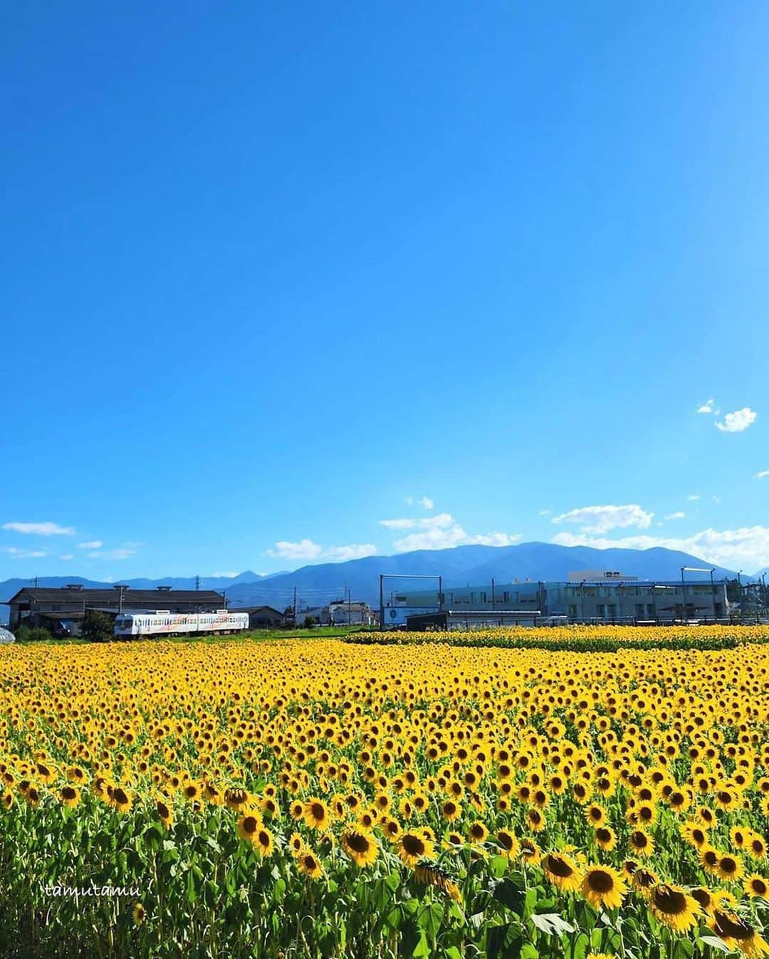 ?長野県 観光 公式インスタグラム のインスタグラム