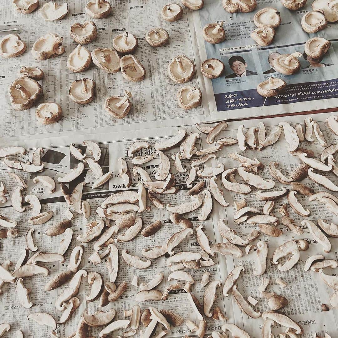 KIKIのインスタグラム：「椎茸が豊作にて切ったり乾かしたり💪 そしてこれから冷凍 冷凍すると旨みが増すのですって 聞いたことはあったけど実践するのは初めてなので 料理に使うのが楽しみ😌 #上野村きのこセンター」