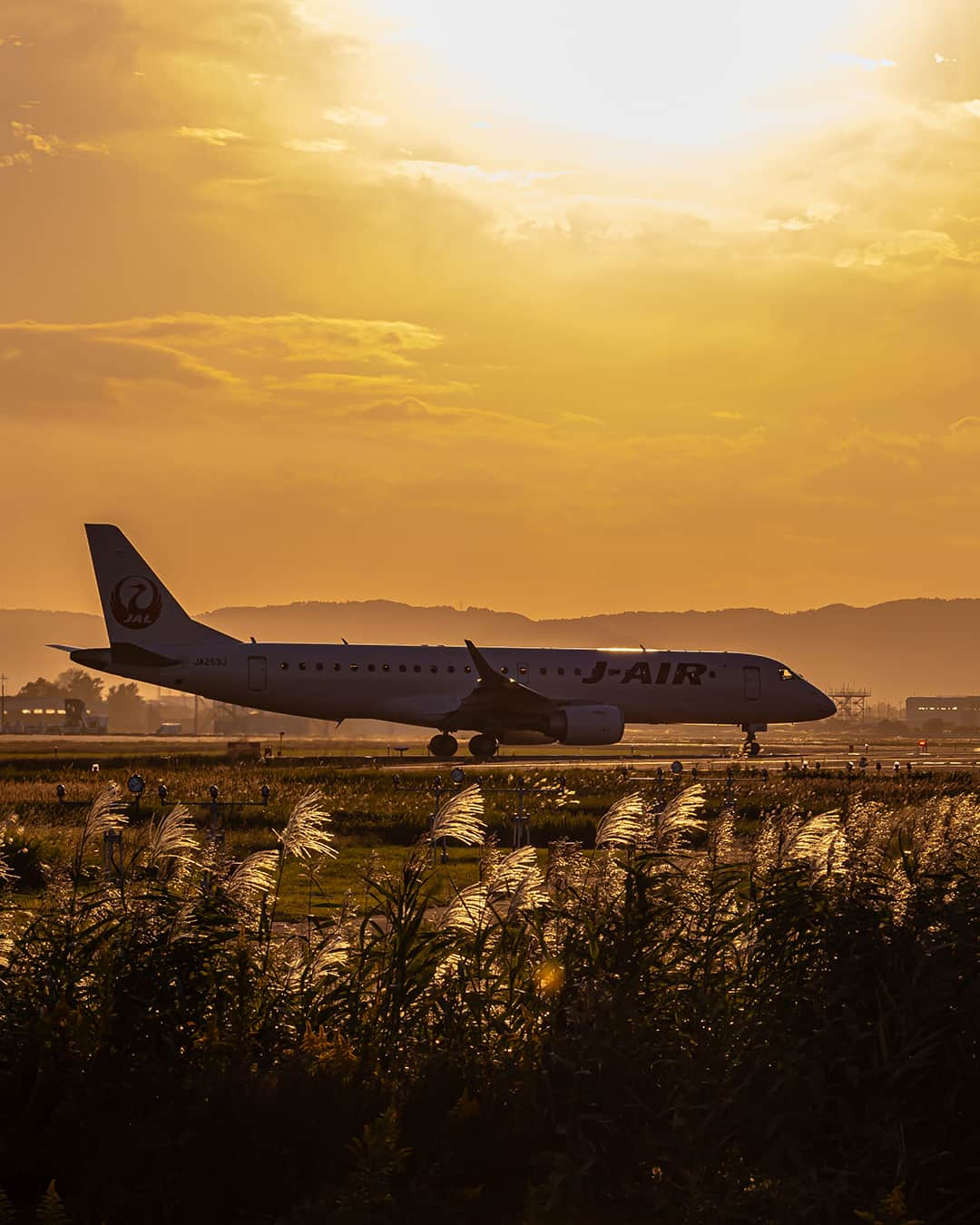 JALのインスタグラム：「. 柔らかい光に包まれる #ススキ と エンブラエル190型機✈ #WorldlyNovember . . Photo by @k20afd2_os_photo Post your memories with #FlyJAL  #JapanAirlines #JAL #airplane #✈︎ #エンブラエル #すすき #秋 #夕日 #夕焼け #夕焼け空 #癒し #仙台空港 #飛行機 #飛行機写真 #飛行機撮影 #飛行機のある風景 #飛行機のある空 #飛行機好き #鶴丸 #旅行 #日本航空」