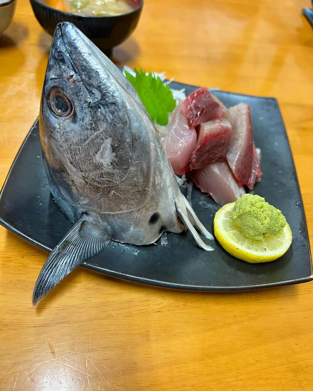 トミックのインスタグラム：「店主の機嫌を損なわなければ美味い市場食堂🐟  #トミック  #tomikkunet #youtuber  #youtuber好きな人と繋がりたい  #料理 わからない #料理好きな人と繋がりたい  #japanese  #cooking #海鮮丼 #鳥取  #鳥取グルメ  #おはよう堂  #寿司 #寿司屋  23.11.2」