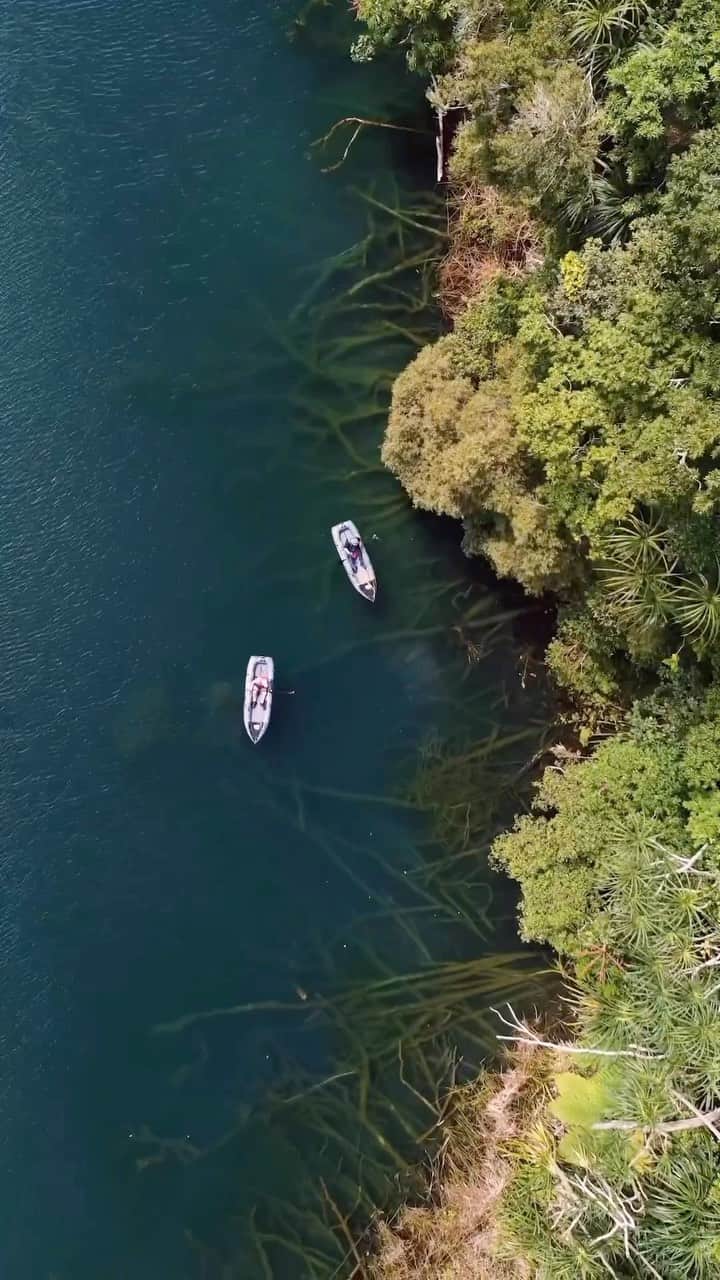 Australiaのインスタグラム：「Fancy a swim in a volcano? 🌋💦 Welcome to #LakeEacham in @tropicalnorthqueensland’s #CraterLakesNationalPark. Formed millions of years ago by massive volcanic explosions (🤯), the clear blue and green waters now make it the ideal spot for a swim, kayak or SUP. If you’d prefer to remain dry, opt for the walking track that loops the lake. See you there?   🎥: @jaydenw.illiams   📍: Lake Eacham, Crater Lakes National Park, @queensland   #SeeAustralia #ComeAndSayGday #ThisIsQueensland #ExploreTNQ  ID. Footage taken from above, the opening scene has the words Lake Eacham on the screen. This scene features water which aqua blue, and a viewing deck which extends over the water - there is lush green rainforest lapping the water. The second scene is two kayaks floating over submerged trees or roots, before a quick succession of scenes featuring people enjoying the water and walking on a cement path before a distant shot of the lake with green rolling hills and rainforest behind it.」