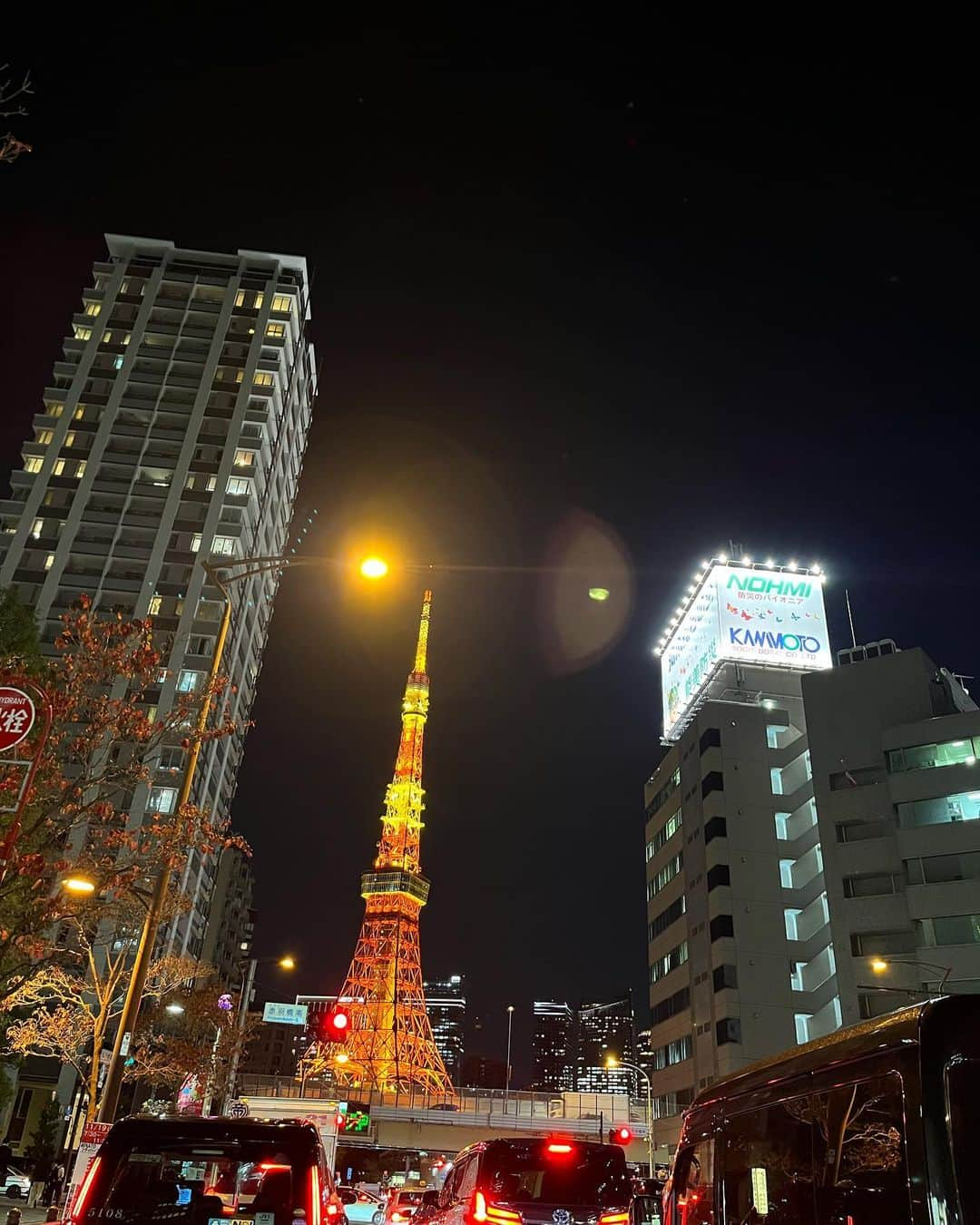 高田延彦のインスタグラム：「おっと！存在感🗼❗️治療帰りの一枚。 #tokyotower  #enjoy  #thanks  #peace」