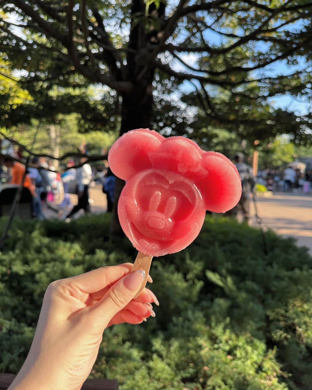 矢田伶華さんのインスタグラム写真 - (矢田伶華Instagram)「でぃずにー🐭🩷🪄︎︎✨   今月はテーマパークばっか いってます🧸💭⸒⸒笑  家族ディズニー楽しかったなぁ🫶🏻 お土産マイイベ🍿配信でやります！  クリスマスもいきたい🎄𓂃 𓈒𓏸◌‬  #ディズニー #家族旅行 #disney  #ディズニーランド #40周年 #40周年ディズニー」11月7日 18時14分 - reika_308