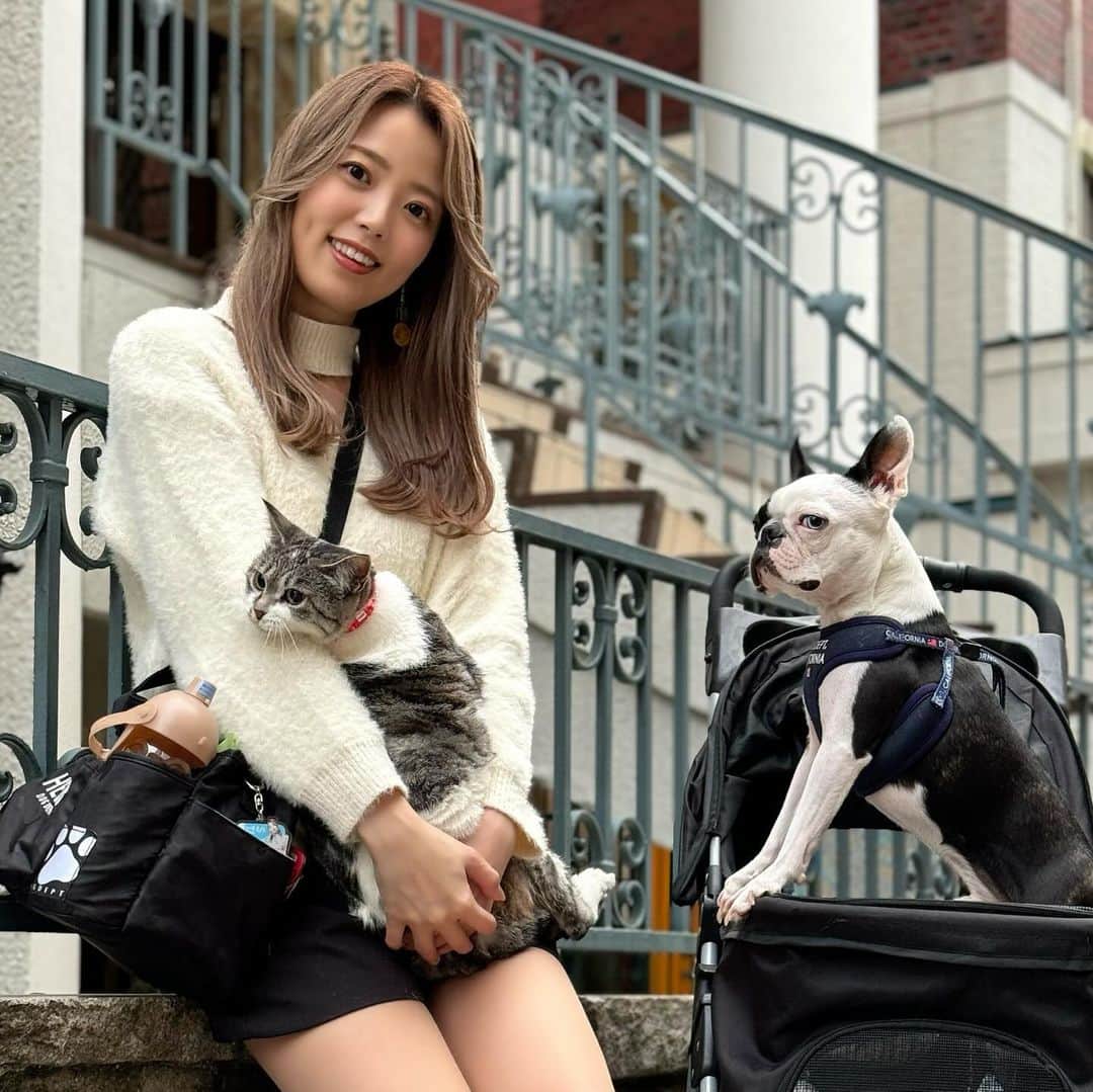 高橋紫微のインスタグラム：「どうしてこんなに可愛いか分からないくらい可愛い🐱🐶 お出かけした日の写真です♡」