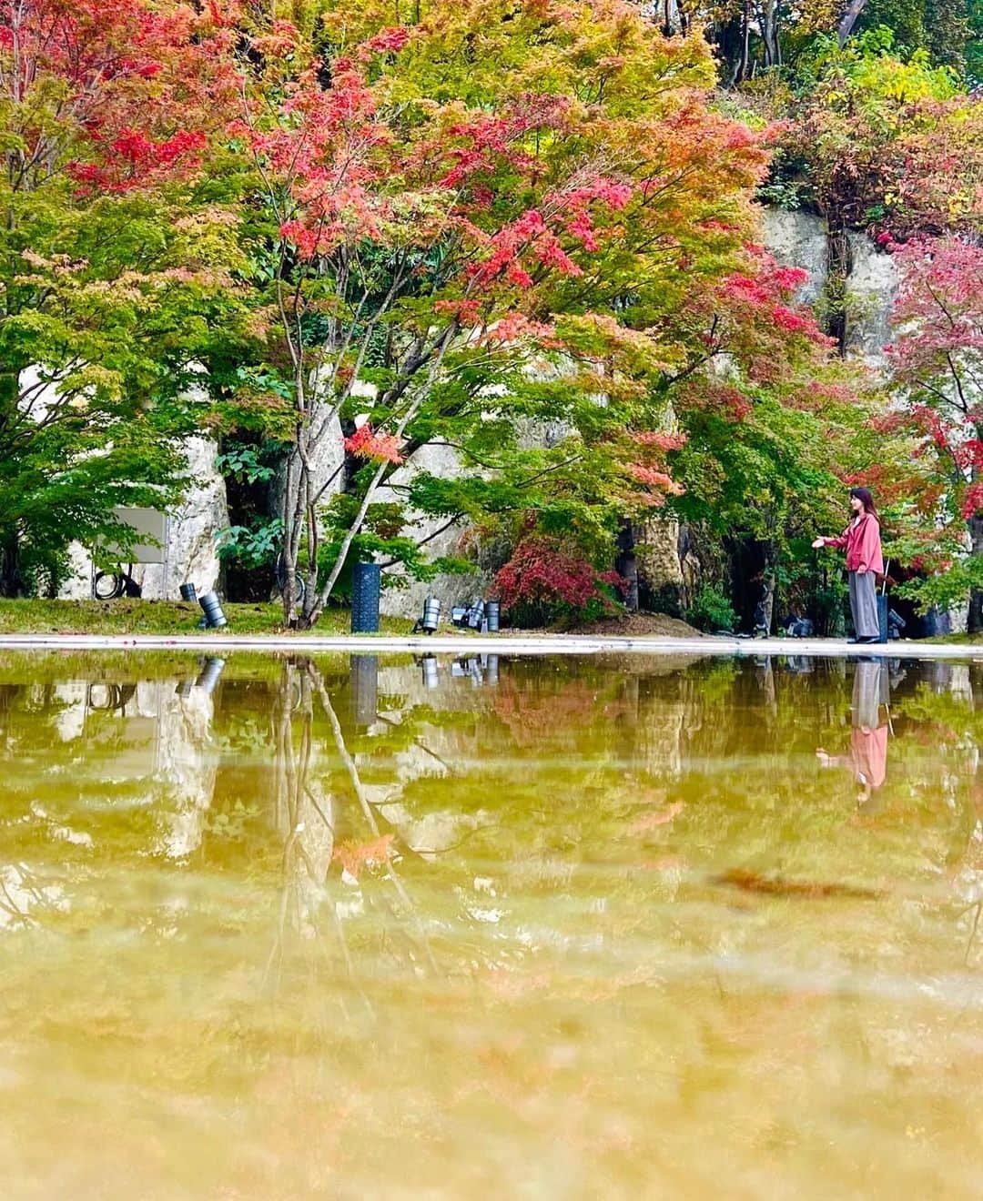 内田有香さんのインスタグラム写真 - (内田有香Instagram)「「松島離宮」紅葉は今週が見頃です🍁 中継で訪れた日は葉の先が赤く染まりはじめ、 絵画のような景色が広がっていました！  11月末まで夜は紅葉がライトアップされ プロジェクションマッピングの演出もされています。 とても綺麗で感動しました☺️  昼夜の違う景色が楽しめる松島離宮ですが 恋人の聖地でもあるんですよ ハートのプールもライトラップされていました💘  #松島　#松島離宮　#紅葉スポット」11月7日 19時30分 - yuuka_uchida_