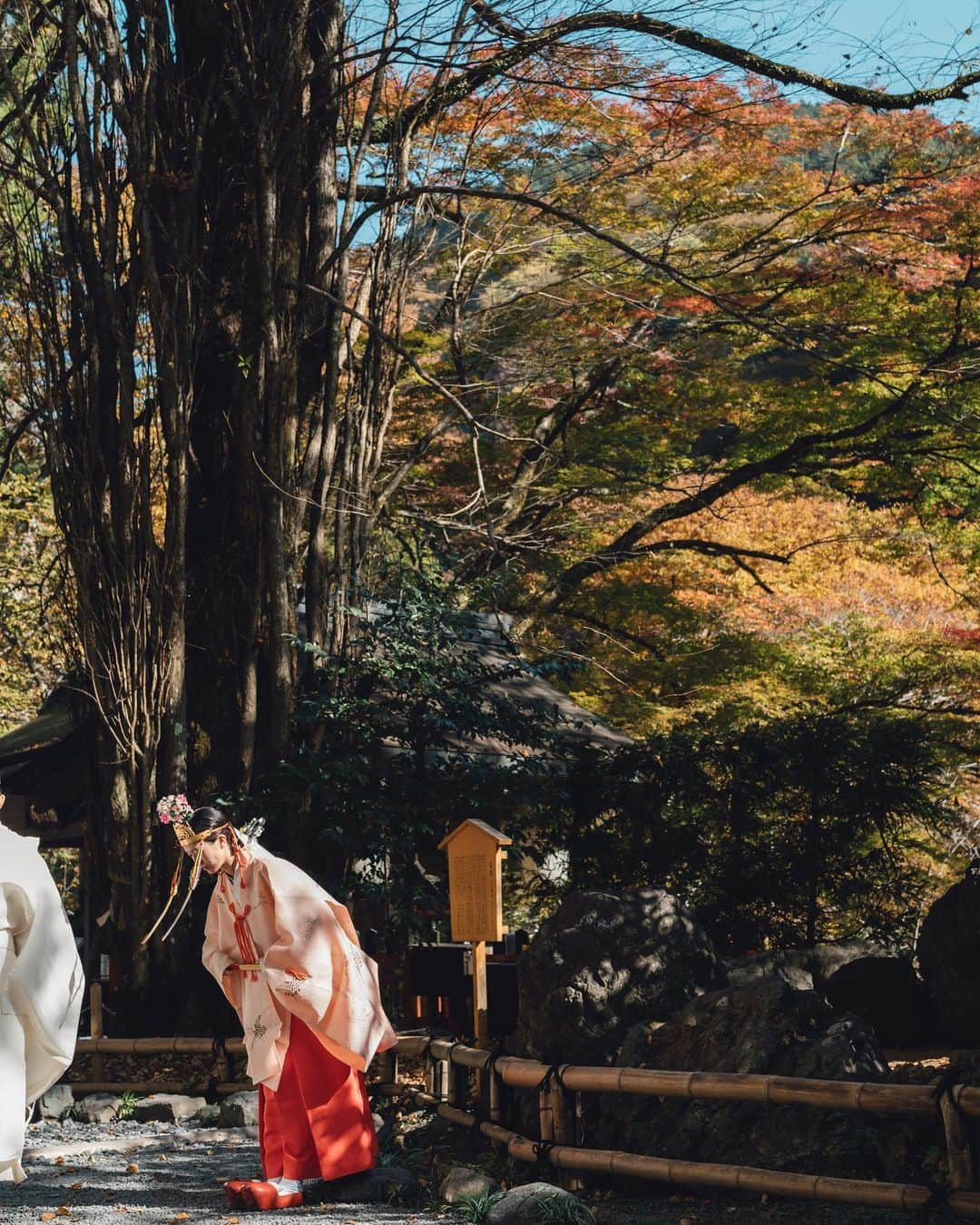 貴船神社のインスタグラム：「明治祭  明治天皇の誕生日である11月3日に行われるのが明治祭です。明治祭では明治天皇の偉業を讃えるとともに、皇室の弥栄と国家の繁栄を祈願します。」