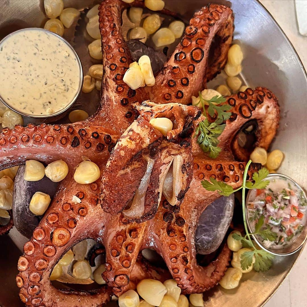 デイヴ・アスプリーのインスタグラム：「Always make it a point to share gratitude before eating my teacher. 😮  This is the largest and most delicious octopus I’ve ever had.  For years, I didn’t eat them because I know they are slightly smart. But then I found that most octopusses served are by-catches.  What that effectively means is that you are eating the dumb ones that couldn’t get out of a net. 🤷‍♂️  I also looked into how much heavy metal octopus accumulates. It turns out, not very much, as long as the octopus is from a cleaner part of the ocean. I wouldn’t eat octopus from the Indian Ocean, for instance.  To be super clear: if you want to protect your longevity with animal protein and minimize animal death, only eat beef or buffalo. One death will feed you for an entire year. But if you are more flexible, a big octopus like this is a great source of animal protein and a rare treat. I found this at @ceviche105 in South Beach/Miami. 🔥」