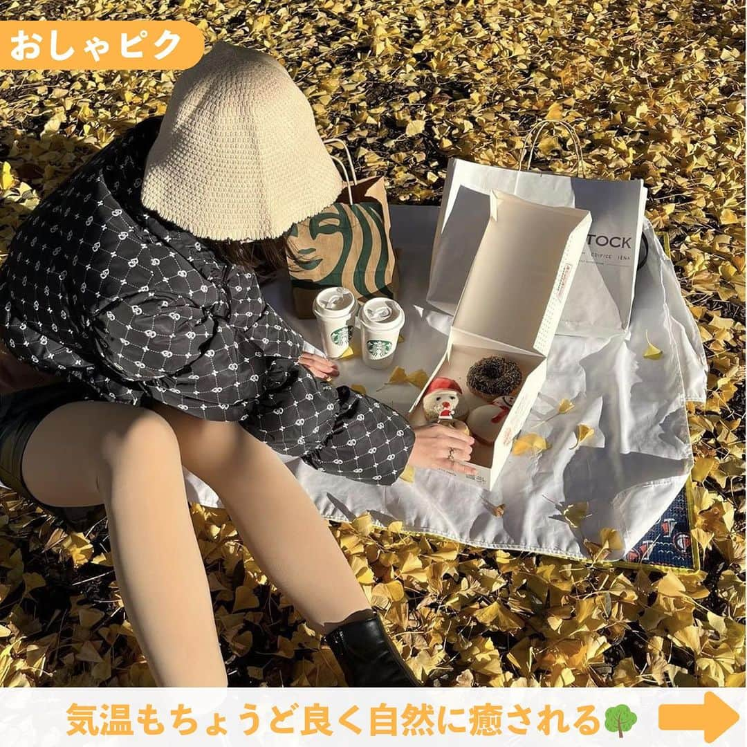 Nom de plumeさんのインスタグラム写真 - (Nom de plumeInstagram)「【6選‼︎】紅葉フォト🍁🍂🧡 　 　 秋冬の季節感あふれる🥰💭 今しか撮れない紅葉フォトの映え方を紹介🫶🏻 　 JKらしくかわいい映え方を楽しんでっ😼💕 是非保存して真似してみてね👀💨🤎 　  🟠photo by⚪️  @ayana.n_0523  @az._1228  @hncha.__  @___23ntk__  @stern.____  @realuvlish   −−−−−−−−−−−−−−−−−−−−−−−−−−−−  Nomdeplumeで 紹介させていただける写真を募集中🧚‍♀️💜 素敵な写真が撮れたら #nomdeplume をつけるか このアカウントをタグ付けしてね💫  −−−−−−−−−−−−−−−−−−−−−−−−−−−− #制服コーデ #放課後jk #青春フォトグラフ #青春の記録 #青春の1ページ #jkの素敵な思い出 #fjkの素敵な思い出 #sjkの素敵な思い出 #ljkの素敵な思い出 #紅葉フォト #紅葉スポット #紅葉巡り #落ち葉遊び #JKにしかできないこと #写真の撮り方  #タイムリミット女子高生 #エモい写真 #青春のすべて」11月7日 21時00分 - nomde_official