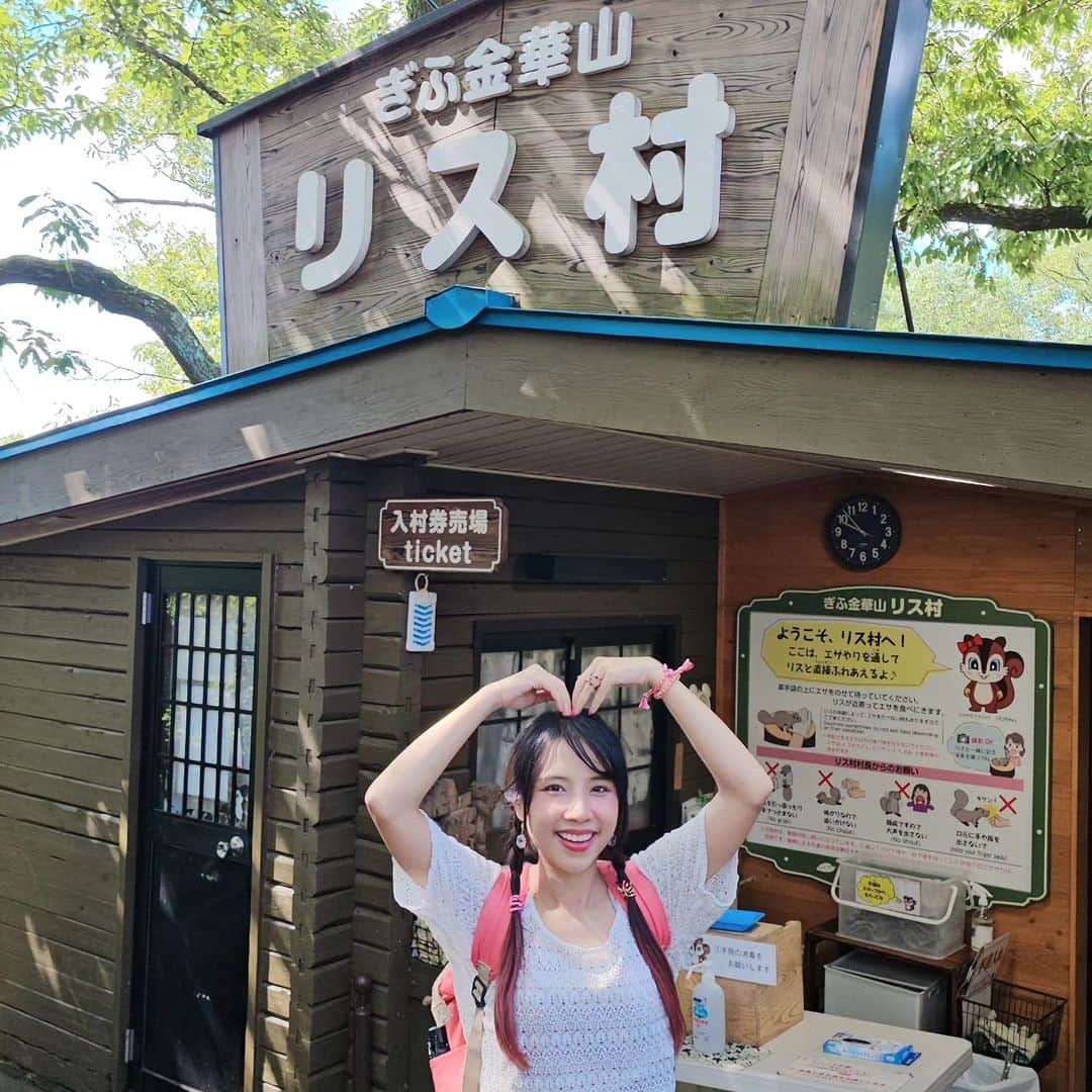 ビーム先生さんのインスタグラム写真 - (ビーム先生Instagram)「หมู่บ้านกระรอกที่ญี่ปุ่น ที่มีประวัติความเป็นมาตลกมาก 😂 日本初のリス村（岐阜県の金華山）私、動物好きだね❤  เมื่อประมาณเกือบ 90 ปีก่อน มีการจัดนิทรรศการครั้งยิ่งใหญ่ขึ้นที่สวนสาธารณะกิฟุ ในตอนนั้นมีการเอากระรอกไต้หวันมาโชว์จำนวนมากเพราะว่ามันแปลกไม่เหมือนกระรอกญี่ปุ่น แถมตัวใหญ่กว่าเห็น ๆ   แต่กระรอกไต้หวันหลายตัวมันดันหลุดหนีไปที่ภูเขากิงกะใกล้ ๆ สวนที่จัดงาน !!! เอ้า แล้วก็กลายเป็นใช้ชีวิตพเนจรกันตามธรรมชาติเฉยเลย 555 หือออ ได้เหรอออออ   คนญี่ปุ่นก็เลยศึกษาค้นคว้า ฝึกฝน หาวิธีดูแล หลังจากนั้น 30 ปีก็เลยสร้างหมู่บ้านให้พวกมันที่ภูเขานั้นซะเลย ซึ่งถือเป็นหมู่บ้านกระรอกแห่งแรกของประเทศญี่ปุ่นด้วย   ที่นี่อยู่บนยอดเขากิงกะที่เราต้องนั่งโรปเวย์ขึ้นไปด้วยนะ บรรยากาศสวยมาก ๆ ใกล้กันมีปราสาทกิฟุบนยอดเขาเดียวกันที่ไปชมได้ด้วย  เข้าไปให้อาหารน้องกระรอกได้ เดินในนั้นได้เลย น้องไม่กัด ถ้าไม่ไปจับน้อง เราก็แค่แบมือให้อาหาร  เขามีอุปรกรณ์ป้องกันตัวให้เราด้วย   แต่น้องบางทีใจร้อนเกินน หิวอะแหละ 555  📍วิธีเดินทาง นั่งรถไฟ Meitetsu จาก สถานี Meitetsu Nagoya มาลงที่ สถานี Meitetsu Gifu  ข้ามถนนแล้วขึ้นรถเมล์ gifu bus ป้ายเบอร์ 4 ลงที่ Gifu Koen Rekishi Hakubutsukan-mae (ประมาณ15นาที)  #ญี่ปุ่นกับบีม #gifu #กิฟุ #meitetsu #กระรอก #リス村」11月7日 21時07分 - beamsensei