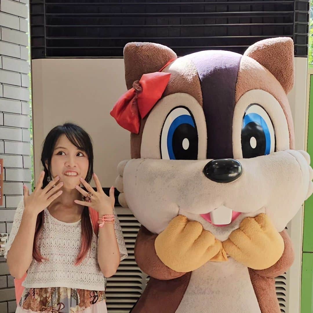 ビーム先生さんのインスタグラム写真 - (ビーム先生Instagram)「หมู่บ้านกระรอกที่ญี่ปุ่น ที่มีประวัติความเป็นมาตลกมาก 😂 日本初のリス村（岐阜県の金華山）私、動物好きだね❤  เมื่อประมาณเกือบ 90 ปีก่อน มีการจัดนิทรรศการครั้งยิ่งใหญ่ขึ้นที่สวนสาธารณะกิฟุ ในตอนนั้นมีการเอากระรอกไต้หวันมาโชว์จำนวนมากเพราะว่ามันแปลกไม่เหมือนกระรอกญี่ปุ่น แถมตัวใหญ่กว่าเห็น ๆ   แต่กระรอกไต้หวันหลายตัวมันดันหลุดหนีไปที่ภูเขากิงกะใกล้ ๆ สวนที่จัดงาน !!! เอ้า แล้วก็กลายเป็นใช้ชีวิตพเนจรกันตามธรรมชาติเฉยเลย 555 หือออ ได้เหรอออออ   คนญี่ปุ่นก็เลยศึกษาค้นคว้า ฝึกฝน หาวิธีดูแล หลังจากนั้น 30 ปีก็เลยสร้างหมู่บ้านให้พวกมันที่ภูเขานั้นซะเลย ซึ่งถือเป็นหมู่บ้านกระรอกแห่งแรกของประเทศญี่ปุ่นด้วย   ที่นี่อยู่บนยอดเขากิงกะที่เราต้องนั่งโรปเวย์ขึ้นไปด้วยนะ บรรยากาศสวยมาก ๆ ใกล้กันมีปราสาทกิฟุบนยอดเขาเดียวกันที่ไปชมได้ด้วย  เข้าไปให้อาหารน้องกระรอกได้ เดินในนั้นได้เลย น้องไม่กัด ถ้าไม่ไปจับน้อง เราก็แค่แบมือให้อาหาร  เขามีอุปรกรณ์ป้องกันตัวให้เราด้วย   แต่น้องบางทีใจร้อนเกินน หิวอะแหละ 555  📍วิธีเดินทาง นั่งรถไฟ Meitetsu จาก สถานี Meitetsu Nagoya มาลงที่ สถานี Meitetsu Gifu  ข้ามถนนแล้วขึ้นรถเมล์ gifu bus ป้ายเบอร์ 4 ลงที่ Gifu Koen Rekishi Hakubutsukan-mae (ประมาณ15นาที)  #ญี่ปุ่นกับบีม #gifu #กิฟุ #meitetsu #กระรอก #リス村」11月7日 21時07分 - beamsensei