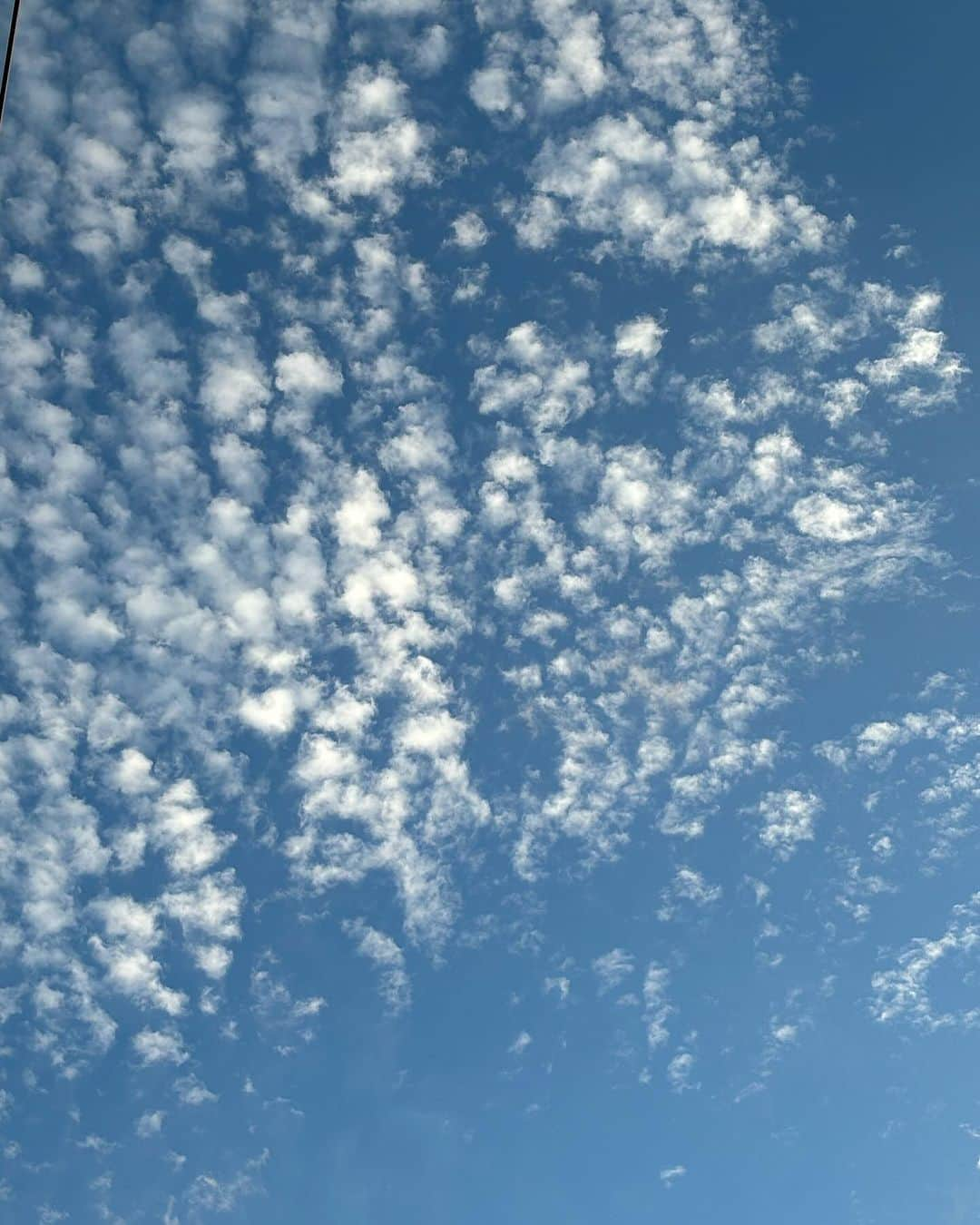 魚住咲恵のインスタグラム：「今日、夕方の空  自転車で爆走中（…って、大して急いでいたわけではなく、私はだいたいデフォルトで爆走🚴‍♀️）　に、後ろに乗っていた次男が呟きました。  「ねぇ、ママ　あの雲、なんかオシャレじゃない？水玉模様みたいで」  うろこ雲見て、この感想…ずきゅーーーーーーーん😍 爆走していた自転車を止めて、一緒にゆっくり空を眺めました。 うろこ雲を見るたびに…この瞬間のことを思い出すだろうな 子どもとの何気ない時間こそが、本物の宝物だなと今、この瞬間が尊く思えました😊  #魚住咲恵」