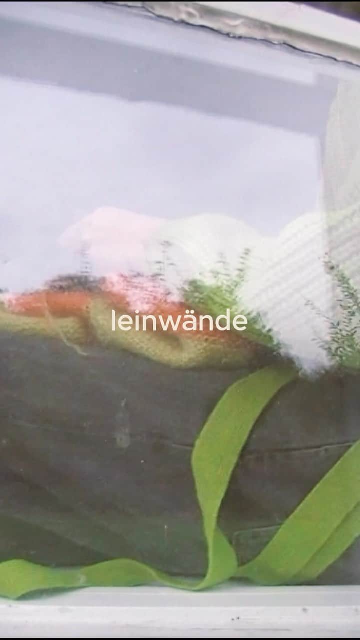 leinwande_officialのインスタグラム：「ㅤㅤㅤㅤㅤㅤㅤㅤㅤㅤㅤㅤㅤ ㅤㅤㅤㅤㅤㅤㅤㅤㅤㅤㅤㅤㅤleinwände 23autumn/winter collection ㅤㅤㅤㅤㅤㅤㅤㅤㅤㅤㅤㅤㅤ Model: Anna Gallbo Video and Sound: Miku Suzuki @miku_suzuki__ ㅤㅤㅤㅤㅤㅤㅤㅤㅤㅤㅤㅤㅤ #leinwände #leinwande」