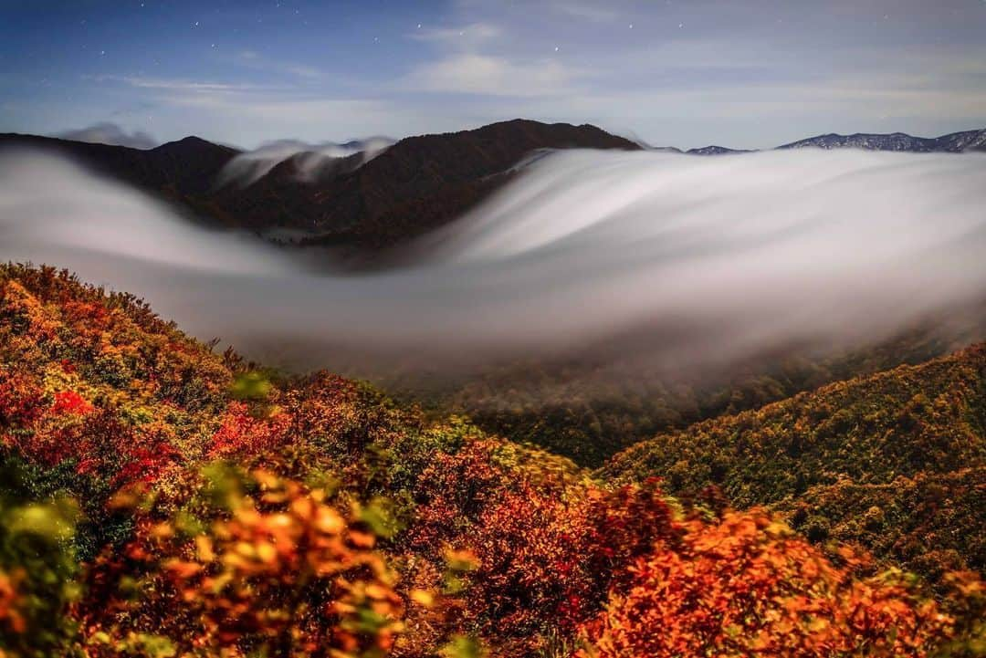 東京カメラ部公式さんのインスタグラム写真 - (東京カメラ部公式Instagram)「「@photo_shorttrip」アカウントへの @kudryavka_s_window さんの投稿作品。いいね＆コメント大歓迎です。  東京カメラ部分室 photo_shorttripでは #photo_shorttrip で投稿された皆さまの「旅の一枚」を紹介します。 投稿の際はぜひ、撮影場所もご記載ください。  Follow: @photo_shorttrip  ※「@photo_shorttrip」アカウントでシェアさせていただいた作品は、東京カメラ部YouTubeアカウントでも投稿者様のお名前入りでご紹介させていただく場合があります。これらの使用に関して原則通知は行いませんので、予めご了承ください。 ※各種法令、マナー、関係者の指示に従った撮影をお願いします。 *Please ensure that your photography adheres to all relevant laws, etiquette, and instructions issued by authorized persons. ※本アカウントは東京カメラ部がFacebook、Instagramのサービスを利用して運営しているもので、Meta社・Instagramとは一切関係ありません。  【ご注意ください】 東京カメラ部を名乗るなりすましアカウントが確認されています。東京カメラ部Instagramアカウントは、利用（投稿、閲覧）のために費用をいただくことはありません。 東京カメラ部に関連するアカウントは東京カメラ部（ @tokyocameraclub ）がフォローしているアカウントのみとなります。（tuchong_opensee除く）  #photo_shorttrip #小旅行 #shorttrip #short_trip #旅 #旅行 #写真 #photo #travelphoto #travelphotos #travelphotography」11月7日 21時30分 - tokyocameraclub