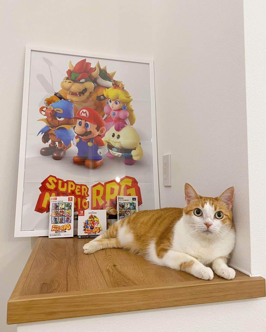 のインスタグラム：「スーパーマリオRPGのリメイクがもうすぐ発売されるよ〜🥳きなパパが楽しみにしておる🎮  ロールプレイングゲーム やったことない人も〜 マリオと旅に出よう ドラマをつくろう🎵  って曲のCMなつかしいな😊  #スーパーマリオRPG #きなちょのおうちのもーにゃん #SuperMarioRPG #nintendoswitch」