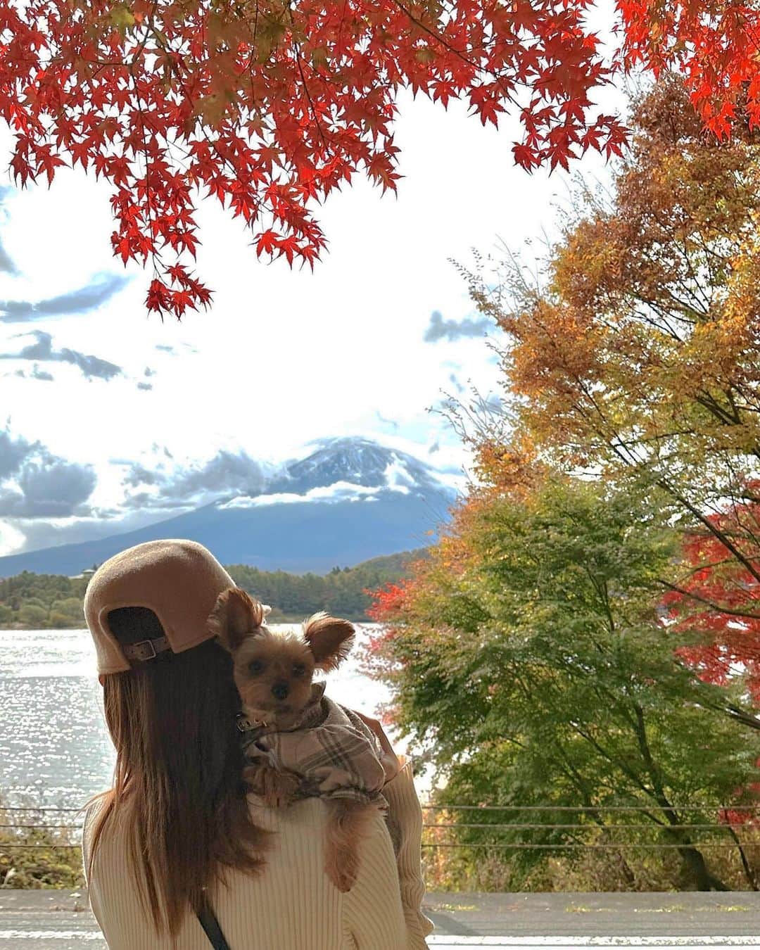 池田沙代のインスタグラム：「🗻🍁🐶  紅葉が綺麗でびっくりした😳🍁 富士山も🗻✨  ぴのといっぱいお出かけしたい💕  #紅葉#富士河口湖町 #富士山#fujimountain」