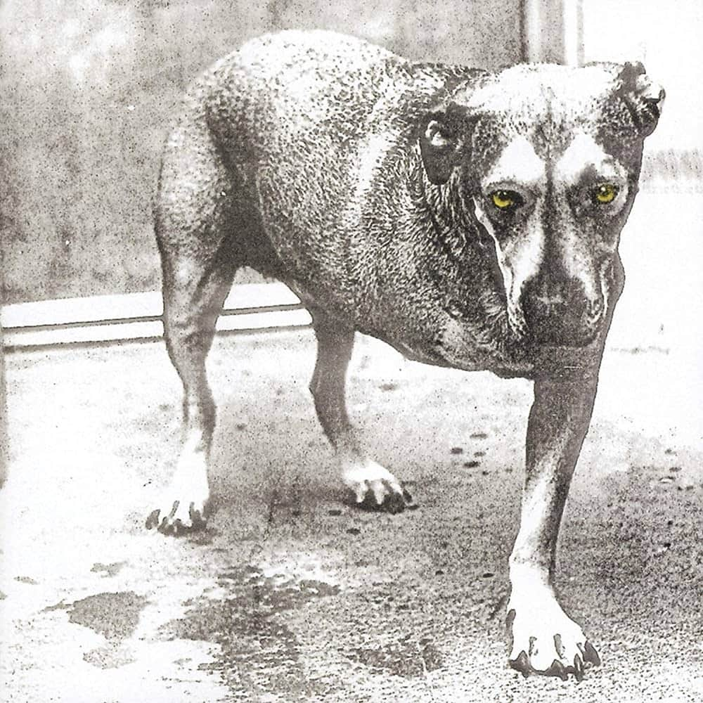 Revolverさんのインスタグラム写真 - (RevolverInstagram)「Alice in Chains released their self-titled album — their last with the late, great Layne Staley — #onthisday in 1995.⁠ ⁠ What's your favorite song?」11月7日 22時00分 - revolvermag