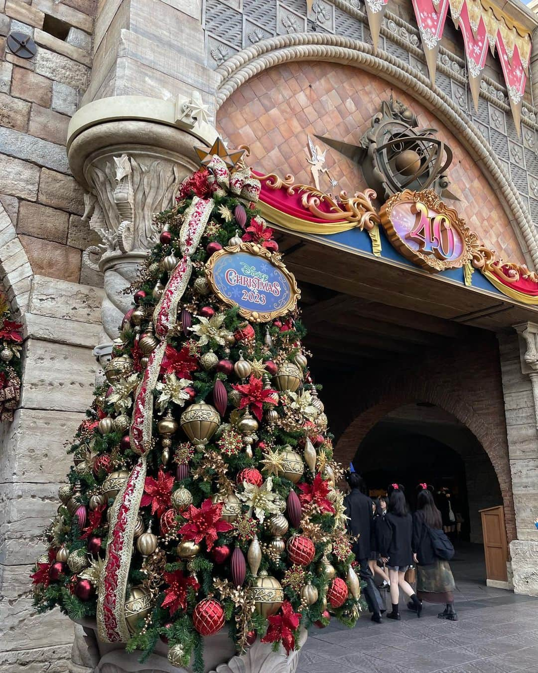 七瀬美月のインスタグラム：「11/6 DisneySea🏰🐭🫶💞👗 ハロウィンの季節も終わり クリスマスシーズンが8日からだから ちょうど何も無い間の日で空いてた😍🫶💞  朝10時から行ったけど並ばずインパできた🎄  2人とも落ちる系が乗れないけど 乗り物８個くらい乗ったよ‪🌼☺️✨️  🎢フランダーのジェットコースター 25分待ち 🚤アクアトピア 20分待ち 🛺列車15分待ち 🦖トイストーリー プライオリティパスとれた🩷 ‪🕌ソアリン課金 👩‍🚒インディージョーンズ課金 🎢フランダーのジェットコースターおかわり！20分待ち 🐟ニモフレンズシーライダー15分待ち 🧸シェリーメイグリーティング10分待ち  ニモフレンズシーライダー初めてだったけど楽しかった😍🐟 全部すぐ乗れて最高だった💞  インディージョーンズは本当に久々に乗ったんだけど 最後少しだけ落ちるから怖すぎてしゃがんで目つぶってたら平気だった🤣🤣乗るまでと乗った後 心臓ばくばく😂  食べたかった新作の ローストビーフとトリュフ風マッシュポテトのハンバーガーも食べれて満足🩷🫶ここで途中で1時間休憩しながらまったり食べたから体力回復︎💪🤣 ホットアップルジンジャーティーも美味しかった💞  あと15時から売ってる #ミッキーロングパン も 整理券🎫今の時期いらないからすぐ買えた💞🐭 ミッキーロングパン持ち歩くためにリュックで行った🥖🥳  キャラクターも10人くらいに会えて知ってるキャラだけ写真撮ってもらいました📸♡  楽しかったすぎた🩷🥰🥰🥰 次の日全身痛い🤣🤣🤣🤣鍼灸行ってきた🪡  クリスマスツリーももう飾られてて綺麗だった🎄 🥳癒される🏙🚢🩵  #りんことDisney10年振り #晴れて嬉しい#カチューシャ買わない女達 #ビリーブも穴場から少し見れた#20時退散 #りんこありがとう🫶#夫もお迎えありがとう🫶 #Disney#DisneyJapan#ディズニーシー #ソアリン#大好き#チュロス#スモークチキン #ニューヨークデリ#スペシャルサンド #ホットアップルジンジャードリンク#オフシーズン」