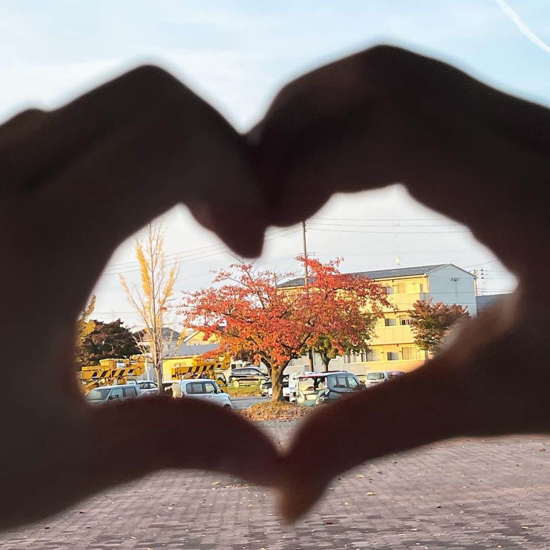 青木祐奈さんのインスタグラム写真 - (青木祐奈Instagram)「・  東日本選手権応援ありがとうございました！ たくさんの声援や拍手、バナー嬉しかったです😊  次はNHK杯...！頑張ります🔥💪🏻  📸： @efurutsu55  いつも素敵なお写真ありがとうございます🙏🏻」11月7日 22時31分 - yuna_skate