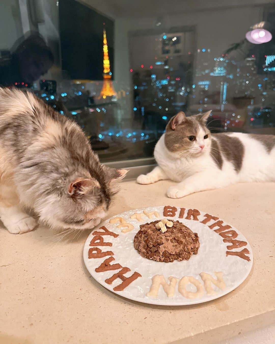 CARINA（日向カリーナ）さんのインスタグラム写真 - (CARINA（日向カリーナ）Instagram)「Nonちゃん　HAPPY BIRTHDAY🧁💕 3th✨どんな時も愛くるしくて大切な家族で宝物♥️ 2023.11.05」11月7日 23時34分 - carina_hinata