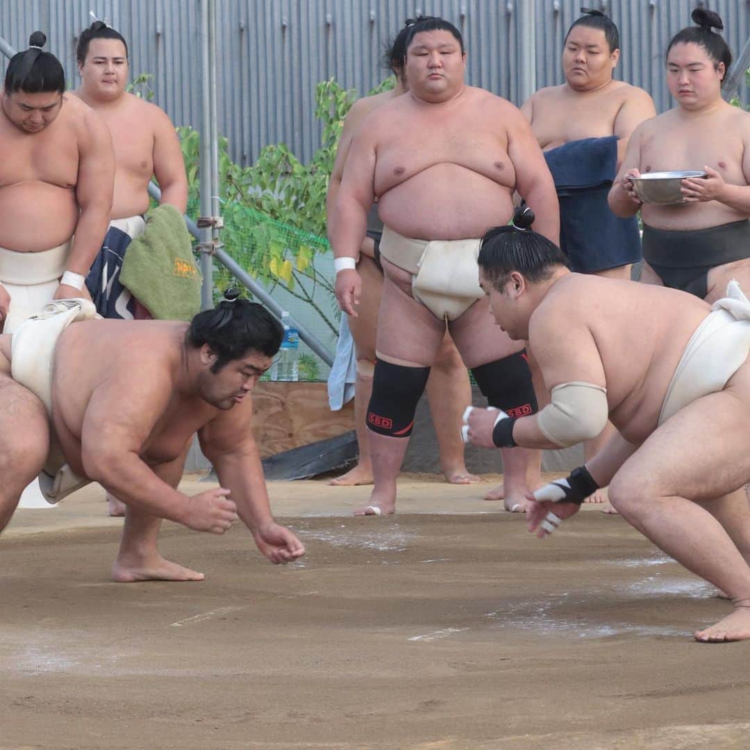 日本相撲協会さんのインスタグラム写真 - (日本相撲協会Instagram)「#木瀬部屋　の稽古です。 この日は、玉ノ井部屋、伊勢ノ海部屋、荒汐部屋から出稽古に。  稽古の様子は、日本相撲協会公式Twitter、公式YouTubeでも紹介予定です。 大相撲九州場所は、11月12日に初日を迎えます。 是非、会場にお越し下さい！  #sumo #相撲 #力士 #大相撲 #お相撲さん #おすもうさん #sumo #japanphoto #sumowrestlers #japanculture #十一月場所　#九州場所　#福岡　#博多　#福岡国際センター #若元春　#若隆景　#東白龍　#志摩ノ海　#英乃海　#宇良　#紫雷　#金峰山　#美ノ海」11月8日 0時16分 - sumokyokai