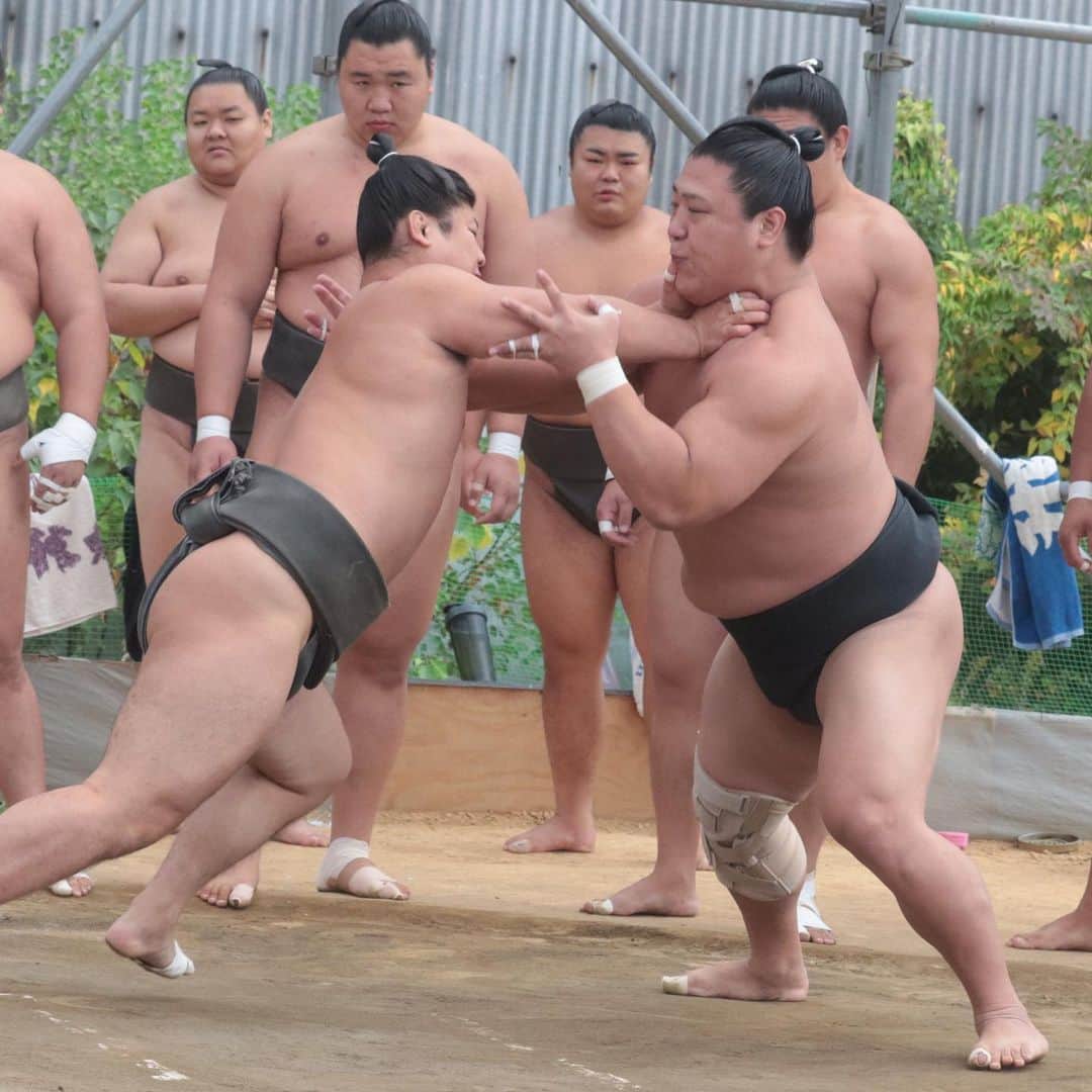 日本相撲協会さんのインスタグラム写真 - (日本相撲協会Instagram)「#木瀬部屋　の稽古です。 この日は、玉ノ井部屋、伊勢ノ海部屋、荒汐部屋から出稽古に。  稽古の様子は、日本相撲協会公式Twitter、公式YouTubeでも紹介予定です。 大相撲九州場所は、11月12日に初日を迎えます。 是非、会場にお越し下さい！  #sumo #相撲 #力士 #大相撲 #お相撲さん #おすもうさん #sumo #japanphoto #sumowrestlers #japanculture #十一月場所　#九州場所　#福岡　#博多　#福岡国際センター #若元春　#若隆景　#東白龍　#志摩ノ海　#英乃海　#宇良　#紫雷　#金峰山　#美ノ海」11月8日 0時16分 - sumokyokai