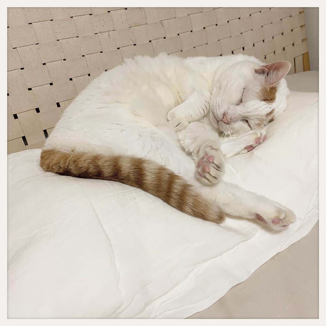 kumikoのインスタグラム
