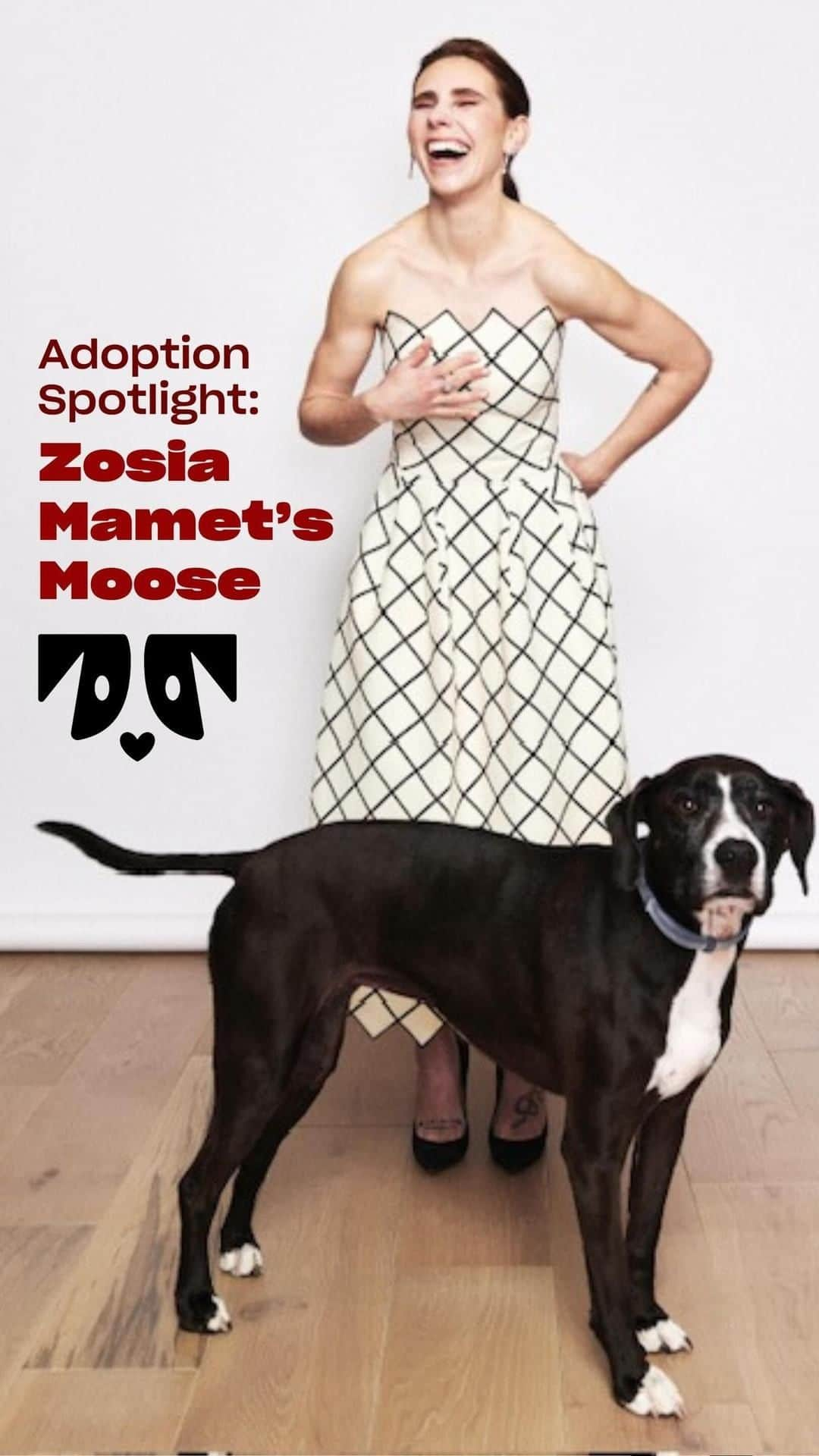 ゾージア・マメットのインスタグラム：「Meet Oh Norman Pack members Zosia and her sweet companion, Moose! Moose’s adoption was a true Christmas miracle🎄. So, if anyone is wondering what you might like for the holiday season, share this post with them for some inspiration!  Moose ❤️ 🐾 Age: 9 1/2 years (9 years with Zosia) 🐾 Breed Mix: Possibly a lab hound pit mix 🐾 Personality: Funny, sassy, playful, chill 🐾 Cuddling Habits: Follows a cuddle schedule family members are expected to adhere to. Early mornings are reserved for cuddles with Evan (Zosia’s husband) 🐾 Hidden Talent: Has mastered the art of the Chewbacca impersonation, a specific growl-howl that is amplified by a decimated bone used as a microphone 🐾 Social Butterfly: Adores humans, especially babies  Got a fun adoption story like Zosia’s? We’re dying to read it in the comments below. 🐶❤️  #Adoptdontshop ALWAYS! Each Oh Norman purchase supports pups just like Moose.」