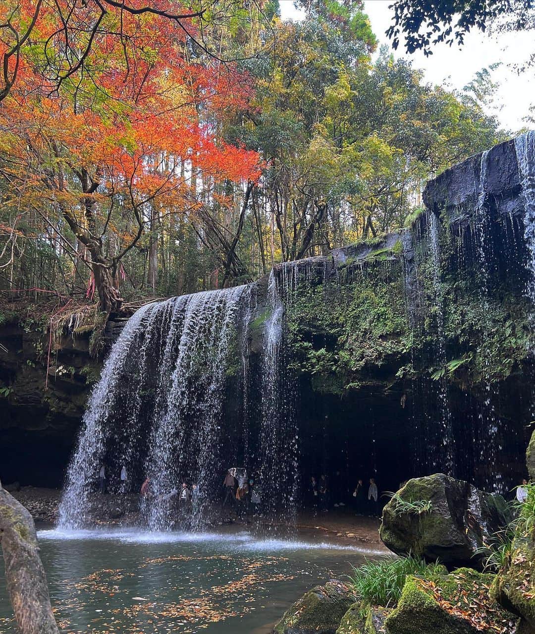 園田あいか