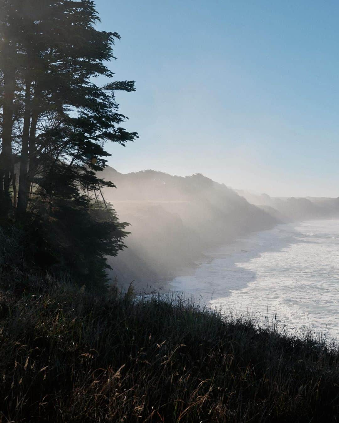 アリス・ガオさんのインスタグラム写真 - (アリス・ガオInstagram)「missing sea ranch walks  (delayed photo dump 🥹)」11月8日 1時36分 - alice_gao