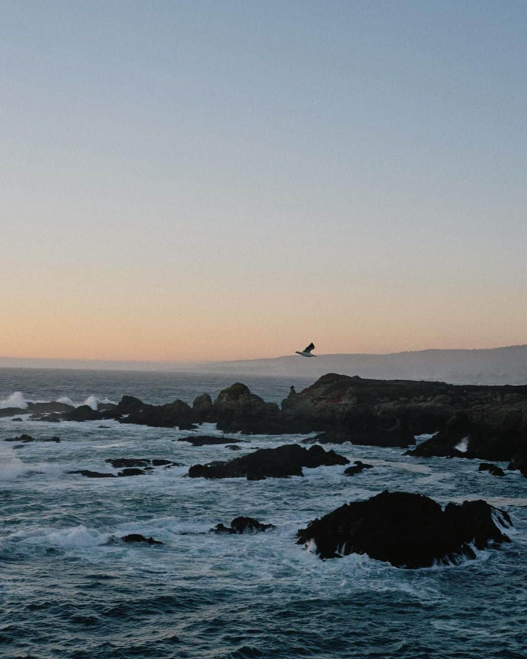 アリス・ガオのインスタグラム：「missing sea ranch walks  (delayed photo dump 🥹)」