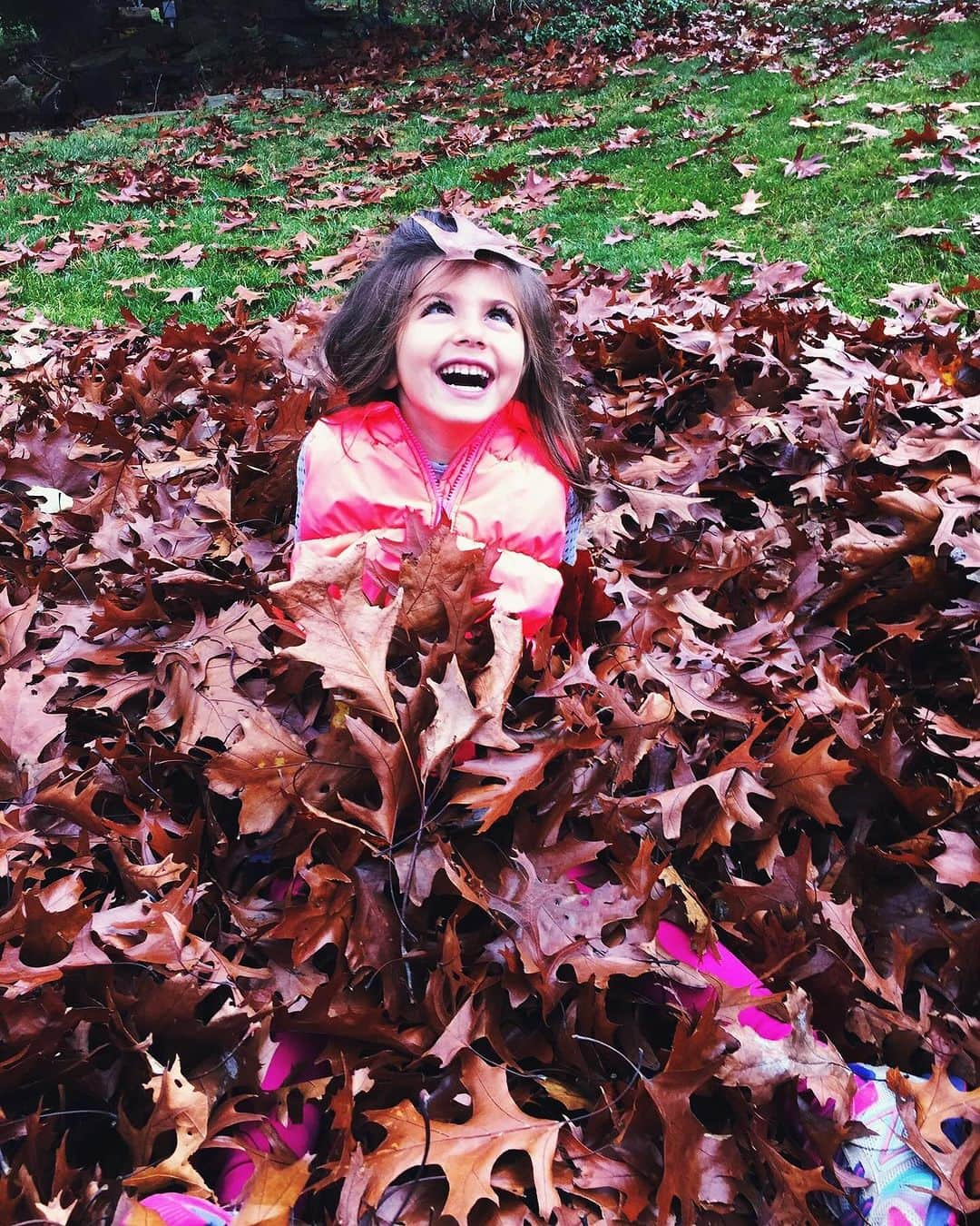 Ilana Wilesさんのインスタグラム写真 - (Ilana WilesInstagram)「When your kid is too big to jump in the leaves, but still wants to make a pile so she can photograph her dog jumping in them. Photo credit: Mazzy」11月8日 1時40分 - mommyshorts