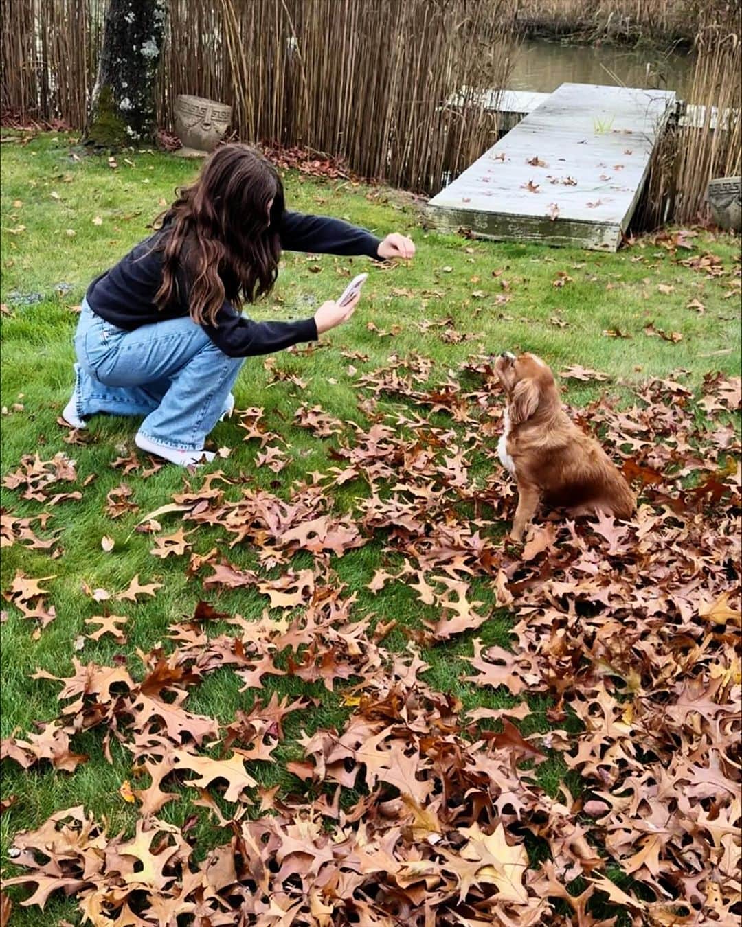 Ilana Wilesさんのインスタグラム写真 - (Ilana WilesInstagram)「When your kid is too big to jump in the leaves, but still wants to make a pile so she can photograph her dog jumping in them. Photo credit: Mazzy」11月8日 1時40分 - mommyshorts