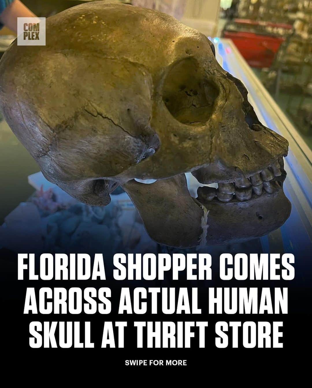 のインスタグラム：「A shopper at a thrift store in Florida was browsing through the Halloween section when they came across an actual human skull, police say.   As for how it ended up among the thrift store’s shopping selections, police say the owner of the shop in question confirmed the skull was first found inside a storage unit that was bought several years earlier. The case is not suspicious in nature.  LINK IN @complex BIO for more. 💀」