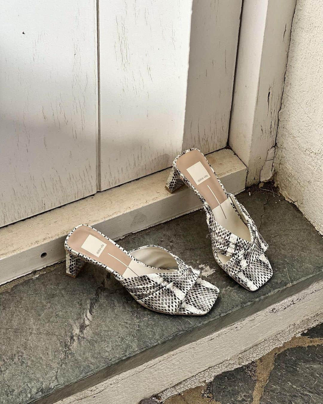 ドルチェヴィータのインスタグラム：「A little bit of snake print never hurt anyone」