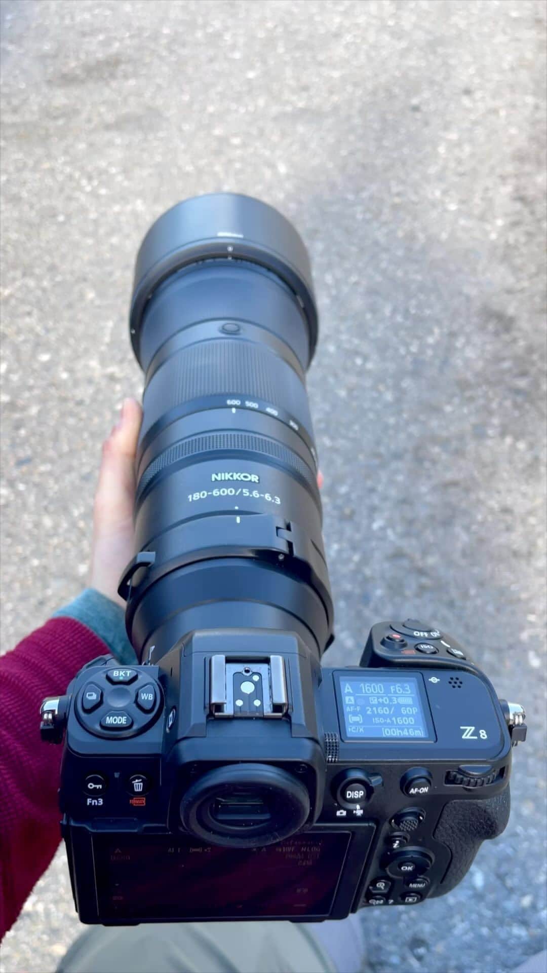 NikonUSAのインスタグラム：「See how wildlife photographer @benjavalenzuelawallis gets a closer look at wildlife during his tour of all the National Parks in Chile.  📸: Nikon Z 8 and NIKKOR Z 180-600mm f/5.6-6.3 VR super telephoto lens.   #NikonCreators #wildlifephotography #behindthescenes #wildlife」