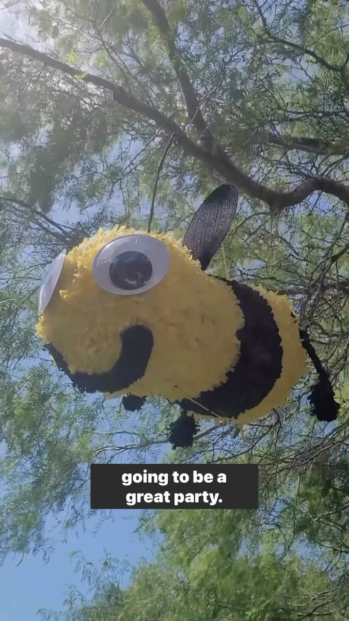 Microsoftのインスタグラム：「This piñata is bee-autiful @Bing. 🐝」