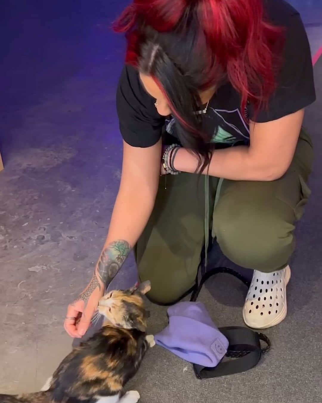 WWEのインスタグラム：「A stray cat found its way backstage at #WWECrownJewel 🐈😻」