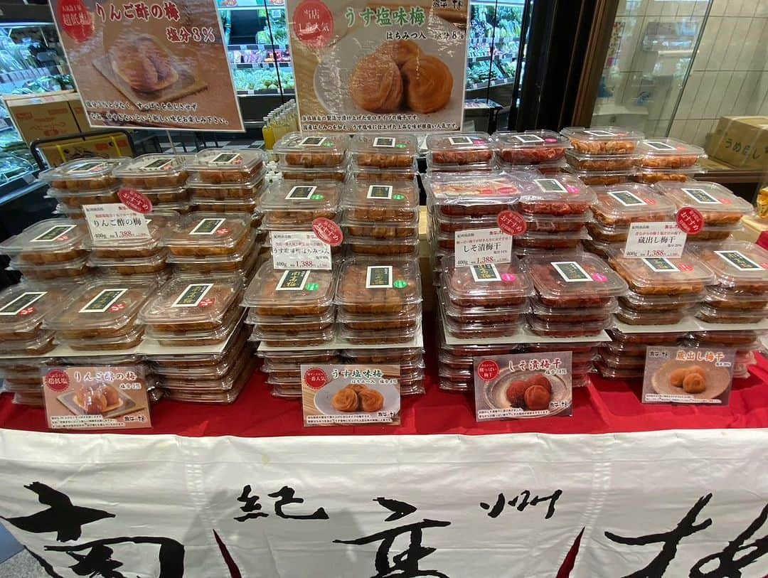 和歌山県食品流通課さんのインスタグラム写真 - (和歌山県食品流通課Instagram)「プレミア和歌山推奨品をはじめとした、おいしい和歌山の銘品をあつめた和歌山フェアが本日から株式会社明治屋広尾ストアー、恵上寿ストアー及び玉川ストアーにて開催されています。  日時：令和5年11月8日（水）〜14日（火） 10:00～20:00  株式会社明治屋HPはこちら！ https://meidi-ya-store.com/storeall/hiragstore/  ぜひお近くにお越しの際は、お立ち寄りください😊  #おいしい健康わかやま　#tasty_healthy_wakayama　 #なんて素敵な和歌山なんでしょう　#おいしく食べて和歌山モール　#おいしい！健康わかやま　#プレミア和歌山　#wakayama　#insta_wakayama　#instagood　#instalike #instafood」11月8日 13時45分 - tasty_healthy_wakayama