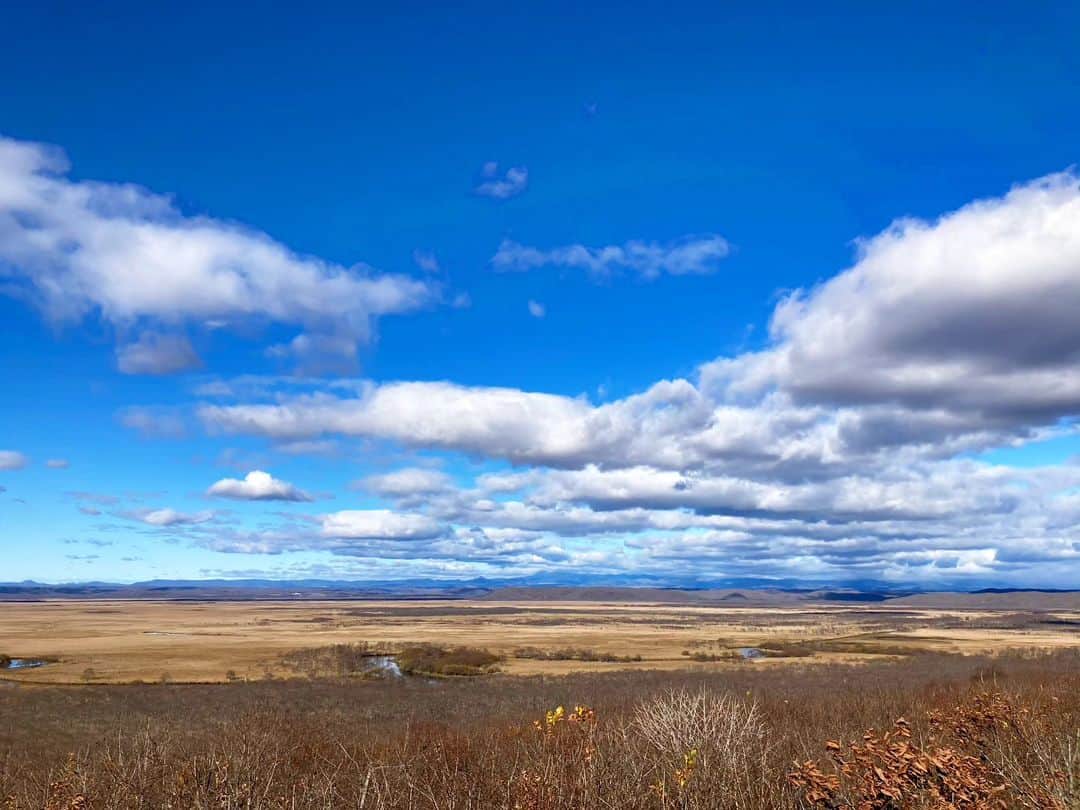 谷中敦のインスタグラム：「釧路湿原。広い。大地も空も広い。そして静かだ。音の価値を考え直せそうな静寂に幸せを感じました。　　  photo by 西木😊」