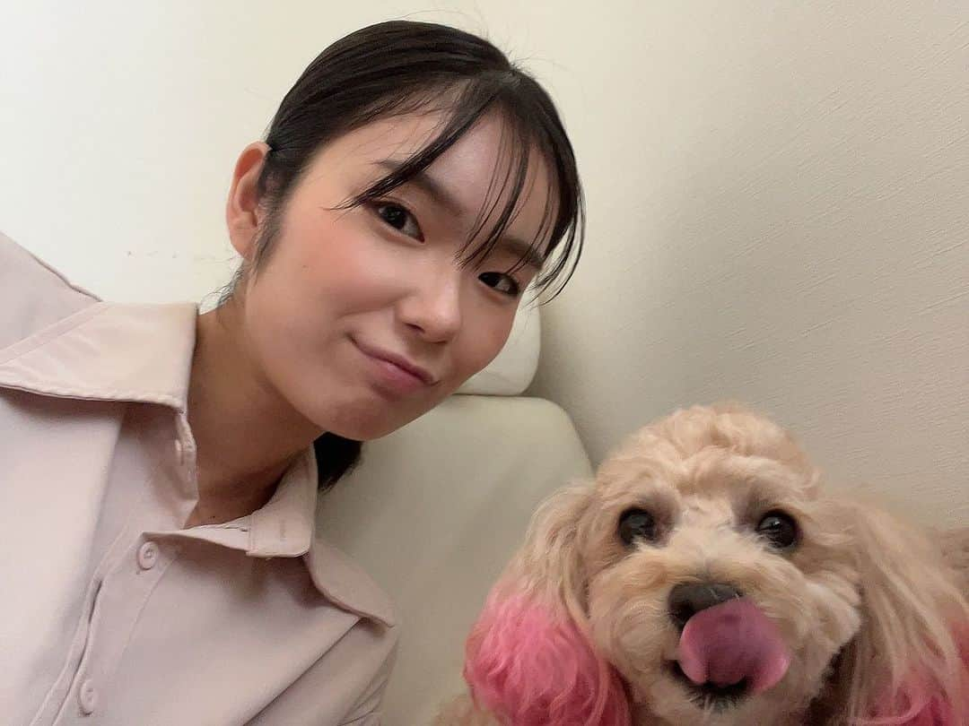 松嶋雛乃のインスタグラム：「今日はオーディション頑張ってきやす👍🏻✨ 家の🐶サニーちゃんに応援してもらったから頑張れそう🔥    #犬のいる暮らし  #うちのこいちばんかわいい  #オーディション  #受かりますように   ・  #役者 #女優 #俳優 #IxC #イクシー #松嶋雛乃」