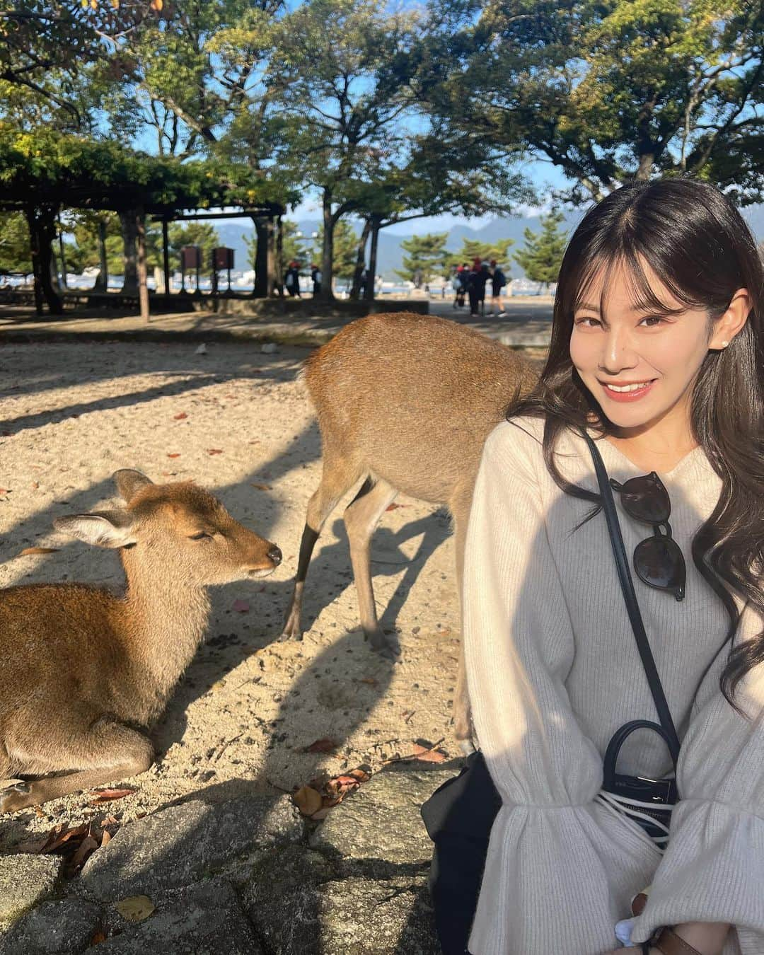 澄川れみのインスタグラム：「. 朝早起きして宮島🏝 鹿さん可愛いかったなあ🦌 揚げもみじも美味しくて幸せ₍ᐢ‥ᐢ₎ ♡」