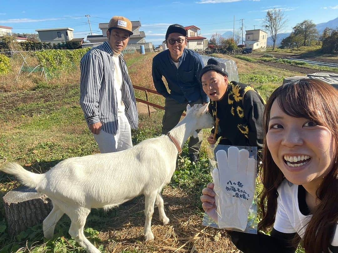 ティ・カトウのインスタグラム